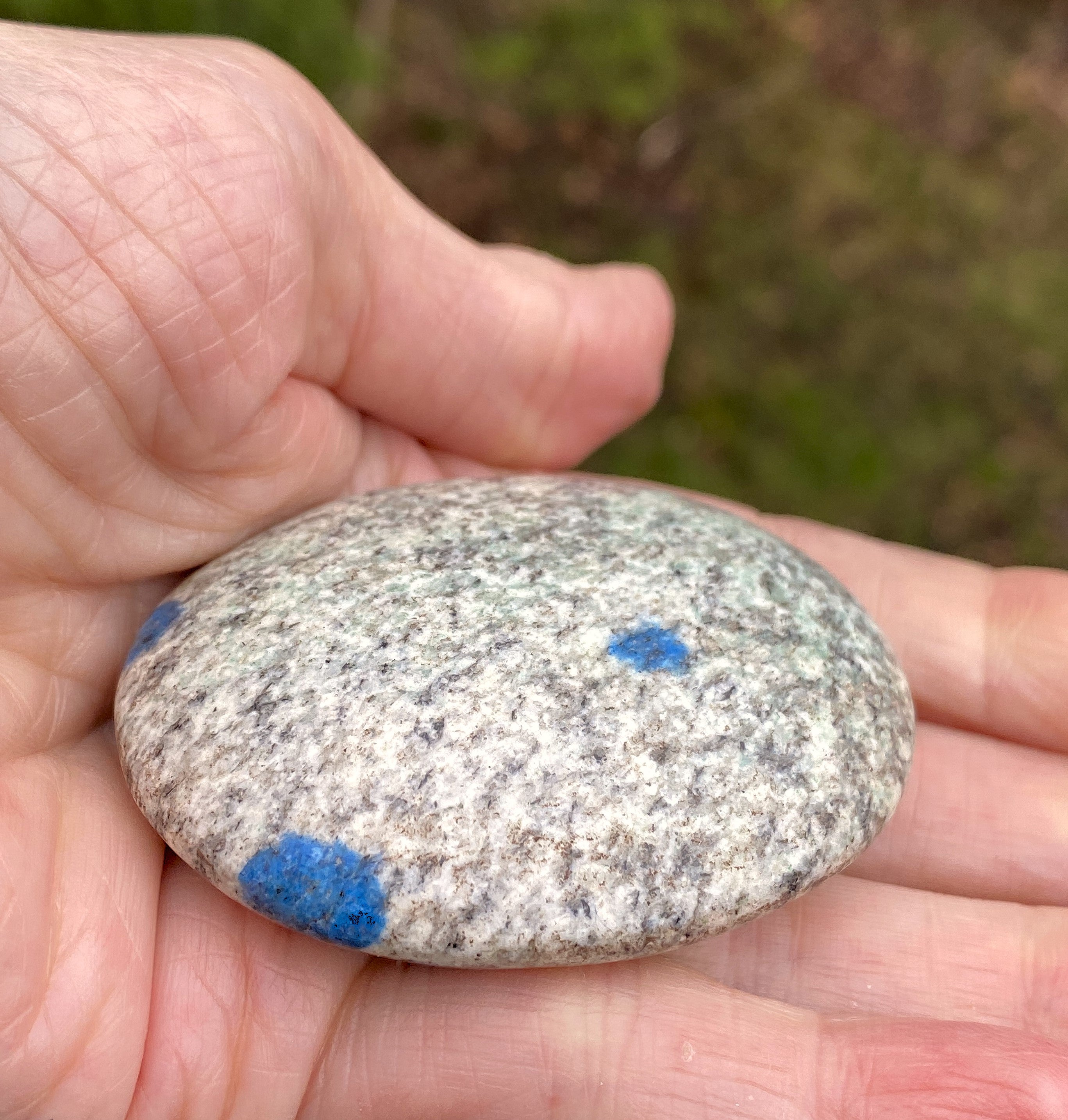K2  Jasper Palm Stone  Blue  Communication Intuition 31455S