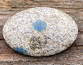 K2 Jasper Palm Stone  Blue  Communication Intuition 31454S