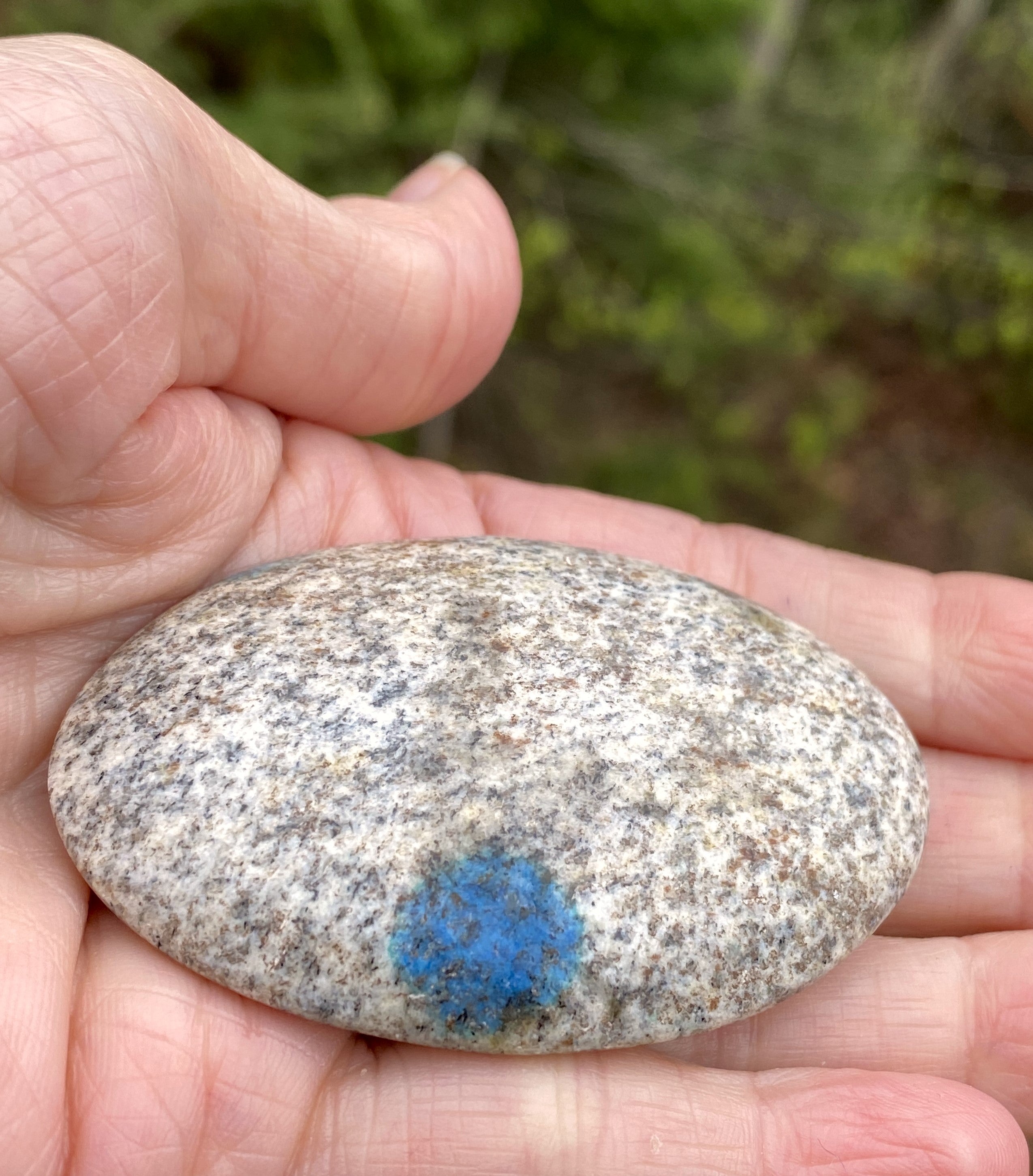 K2 Jasper Palm Stone  Blue  Communication Intuition 31454S