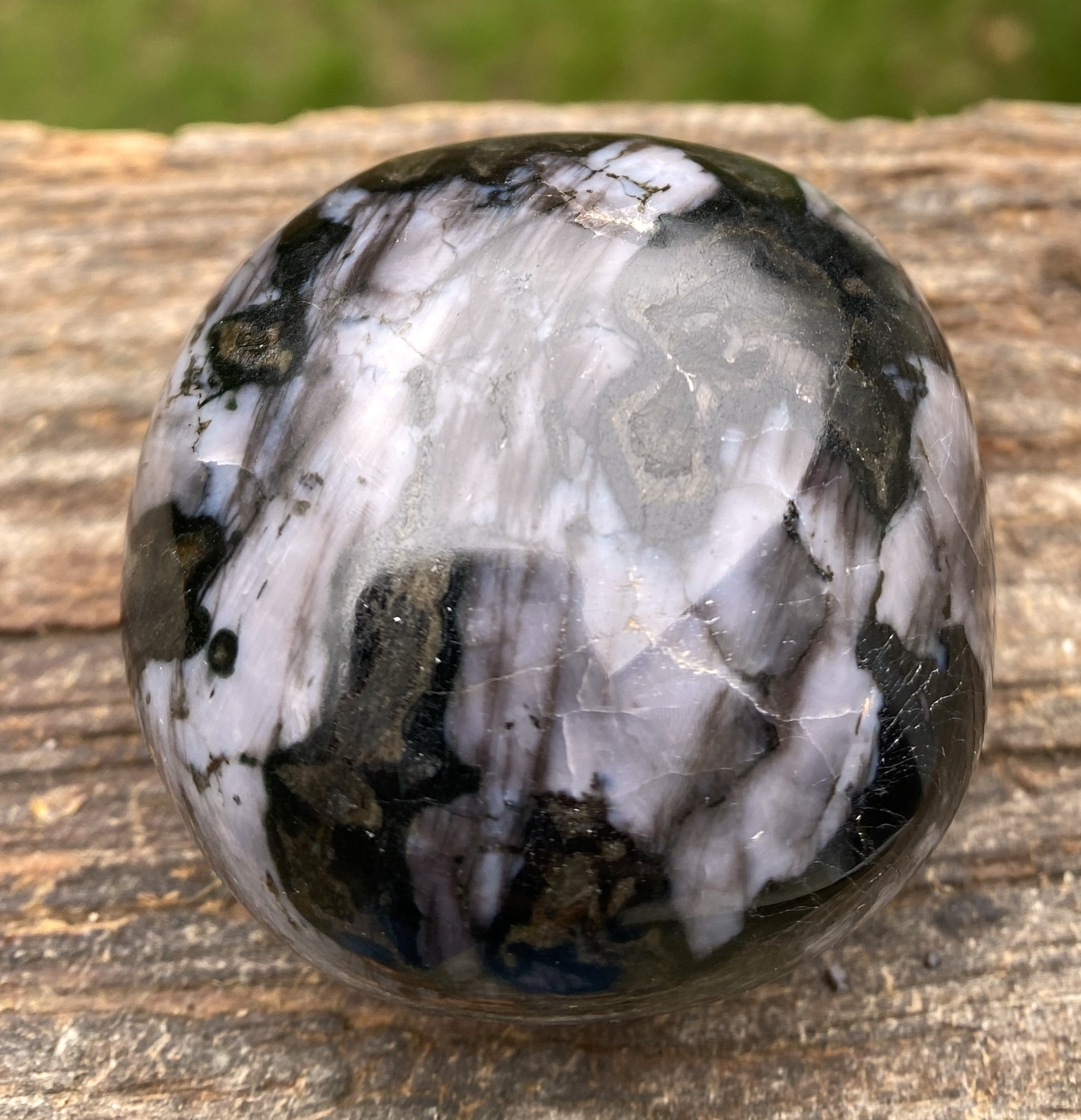 Indigo Gabbro Mystic Merlinite  Gallet Palm Stone  Intuition Magic 31456S