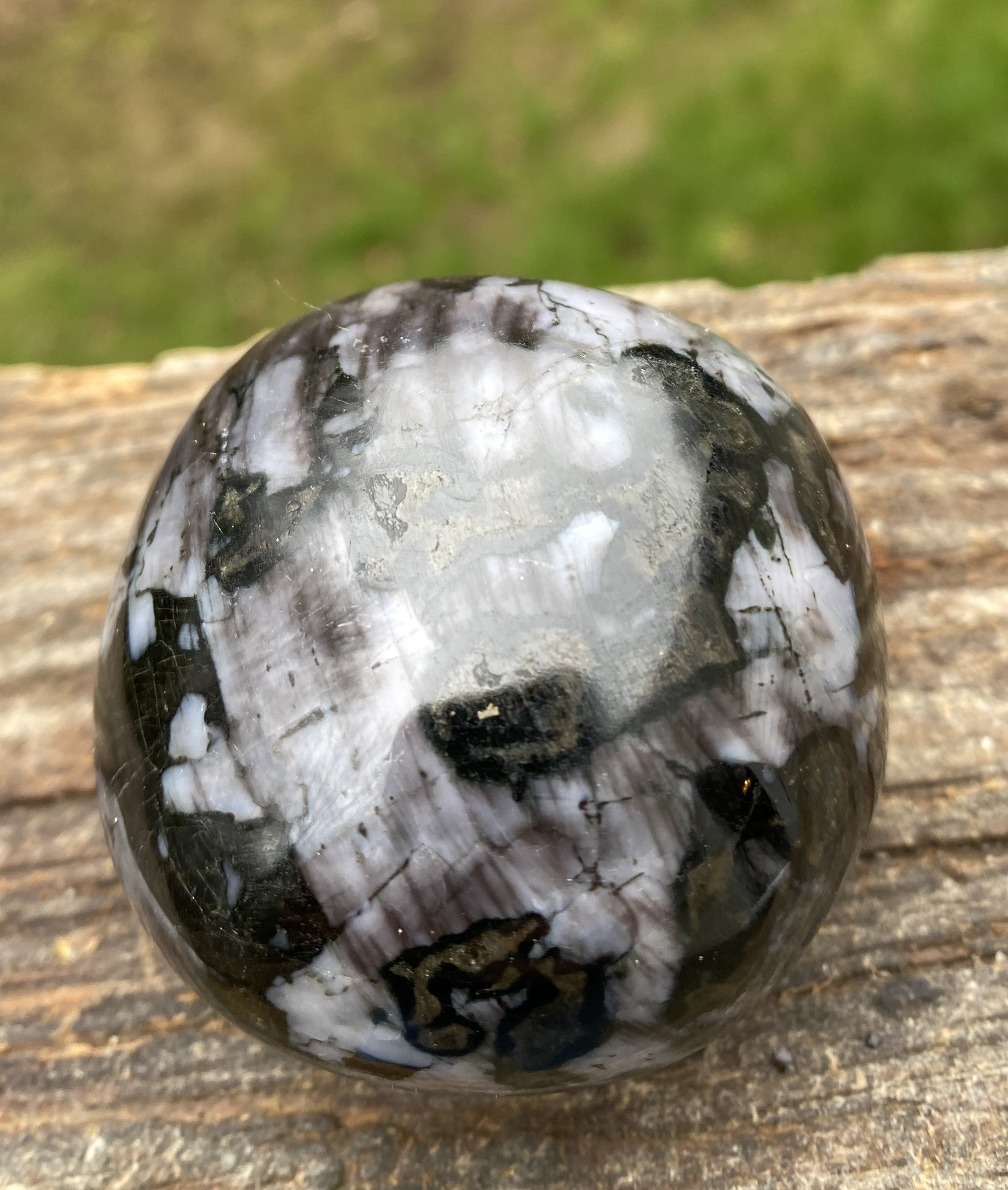Indigo Gabbro Mystic Merlinite  Gallet Palm Stone  Intuition Magic 31456S