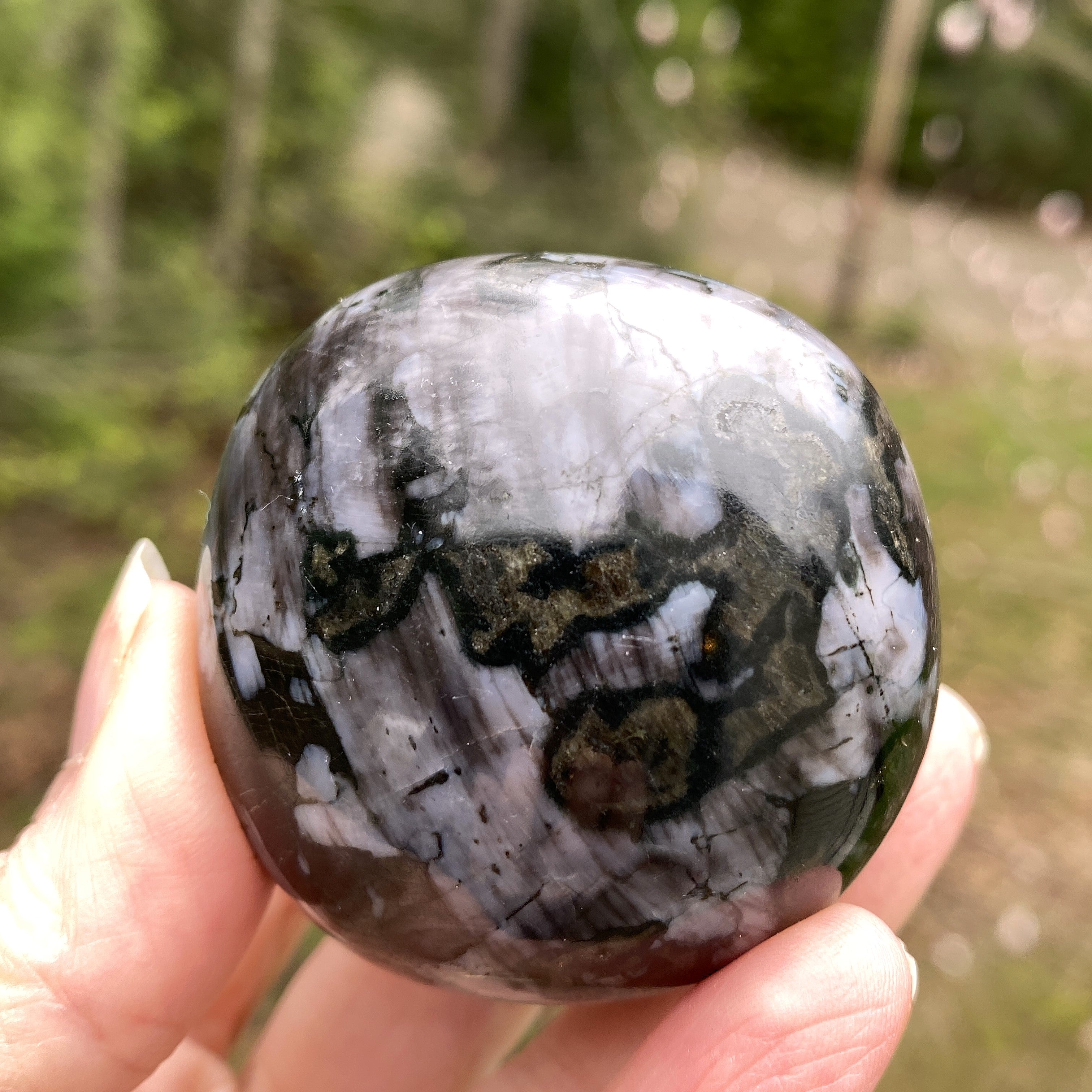 Indigo Gabbro Mystic Merlinite  Gallet Palm Stone  Intuition Magic 31456S