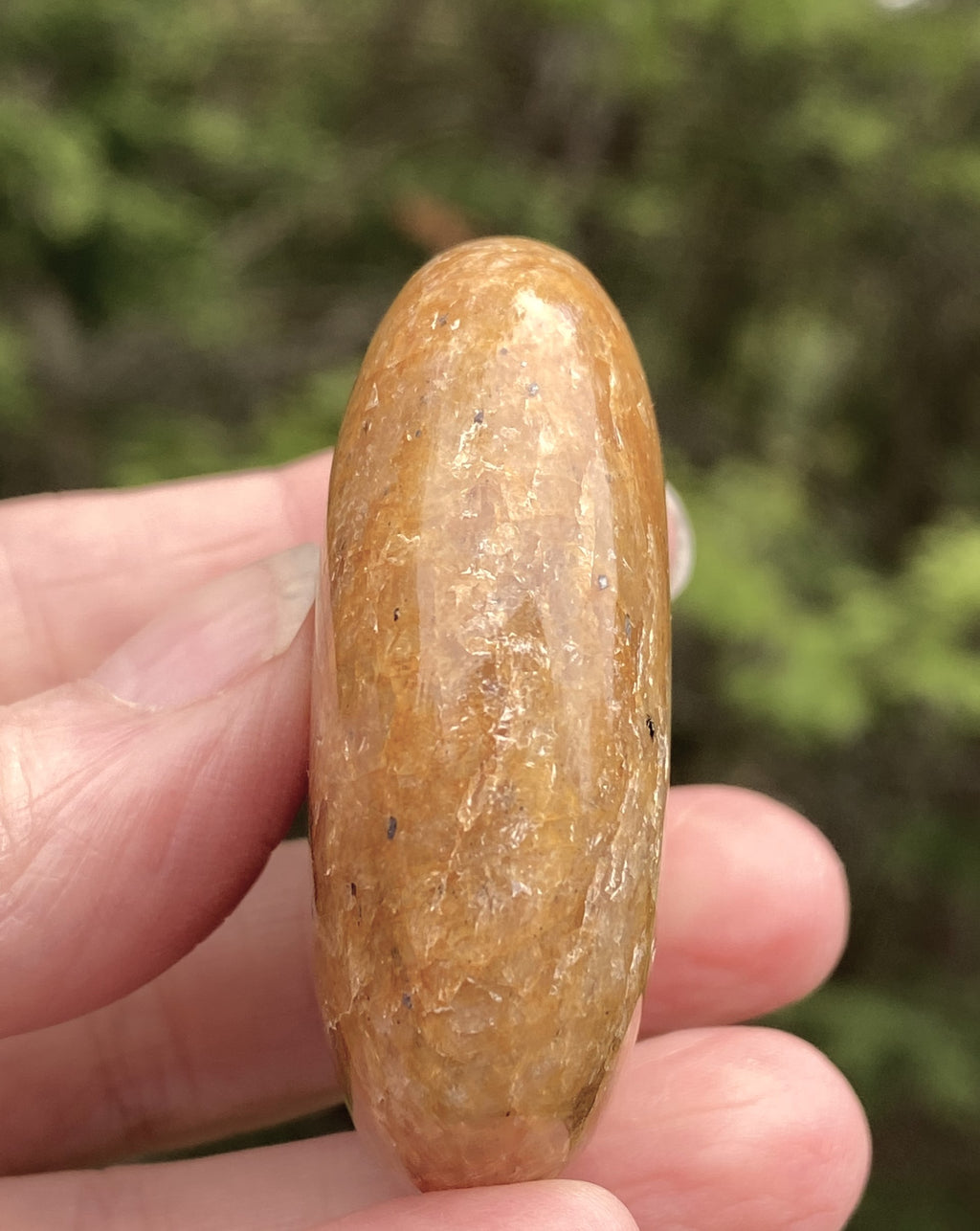 Golden Healer Quartz  Small Palm Stone  Success Healing Protection 31496S