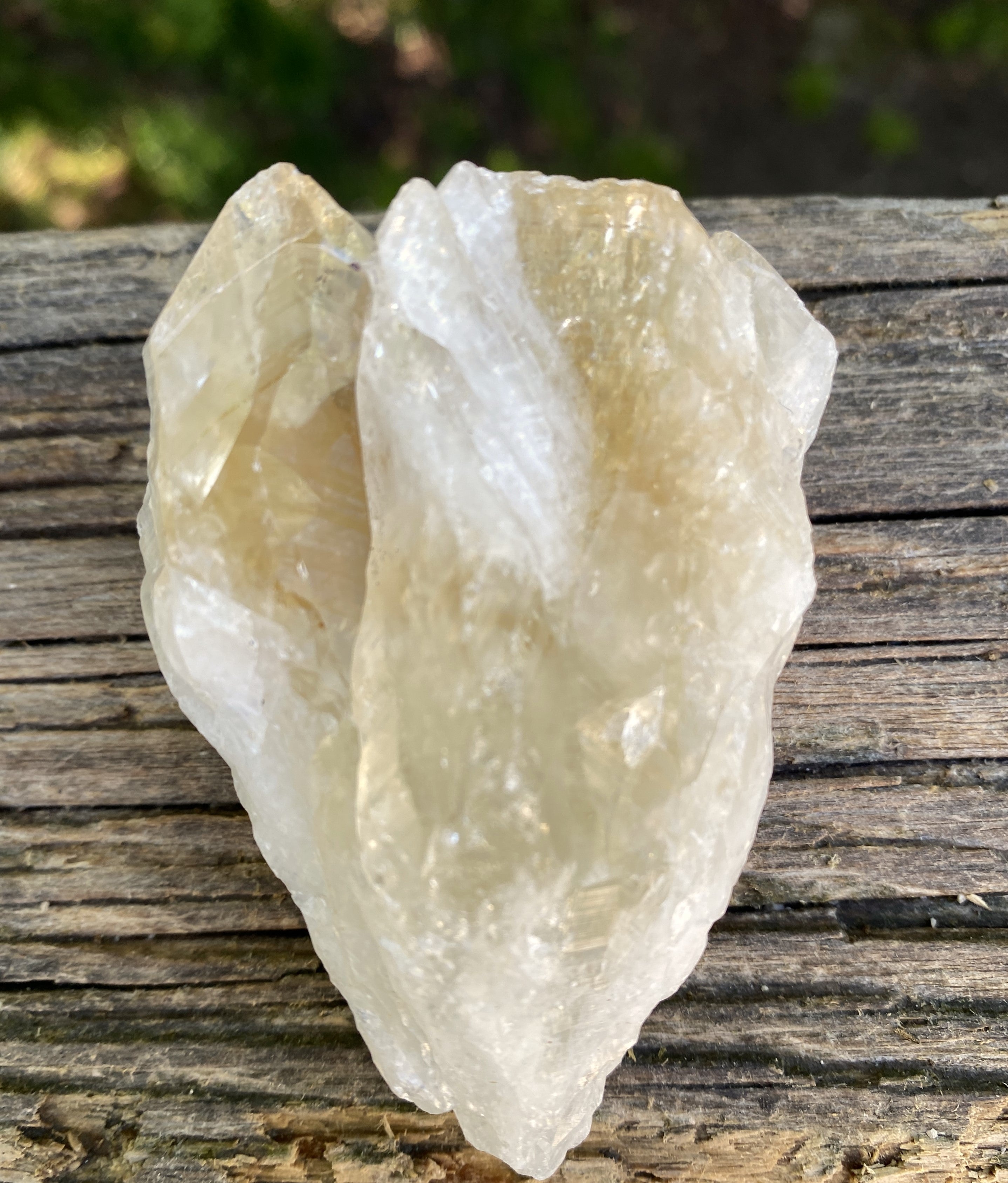 Raw Citrine  Double Point  Prosperity Protection 31612S