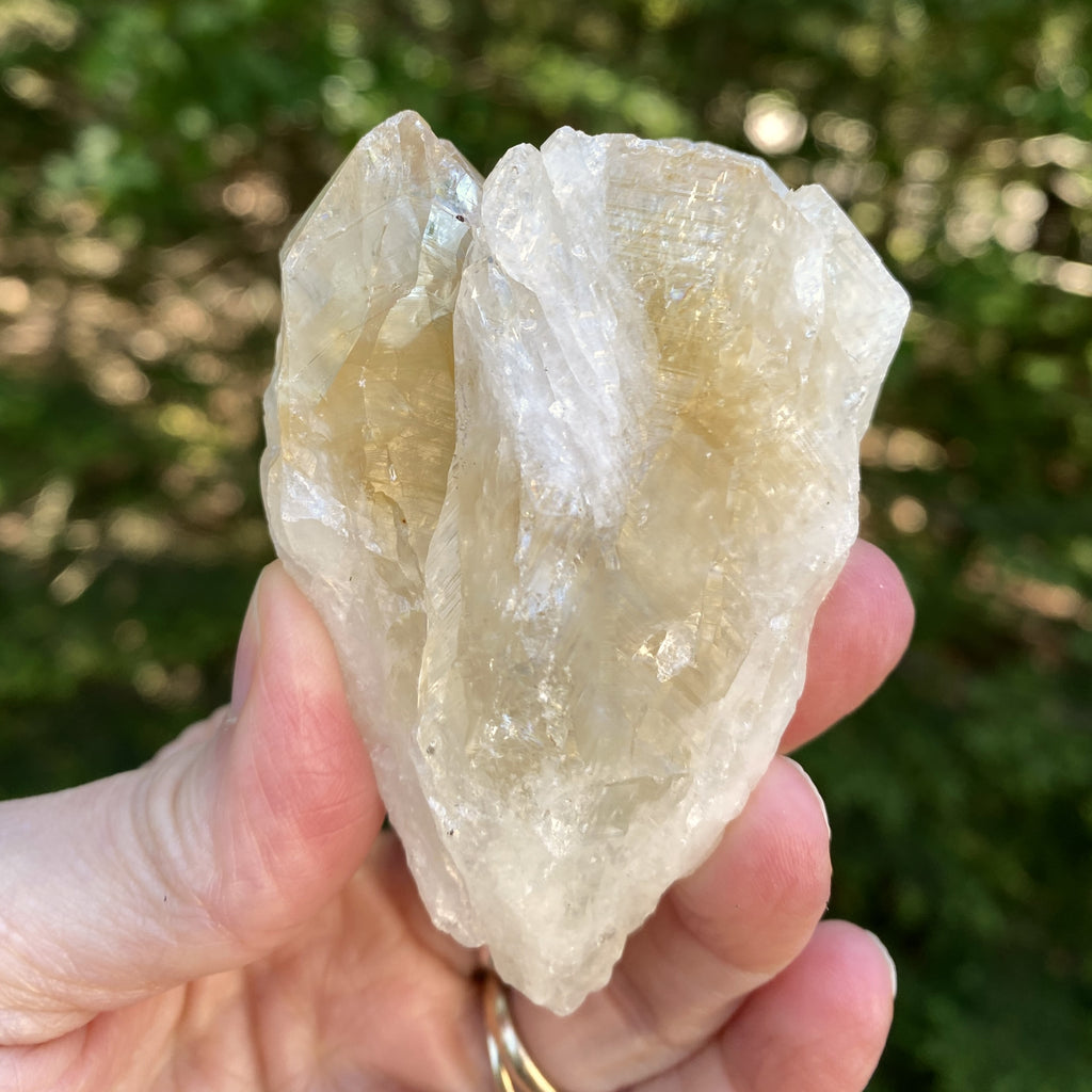 Raw Citrine  Double Point  Prosperity Protection 31612S