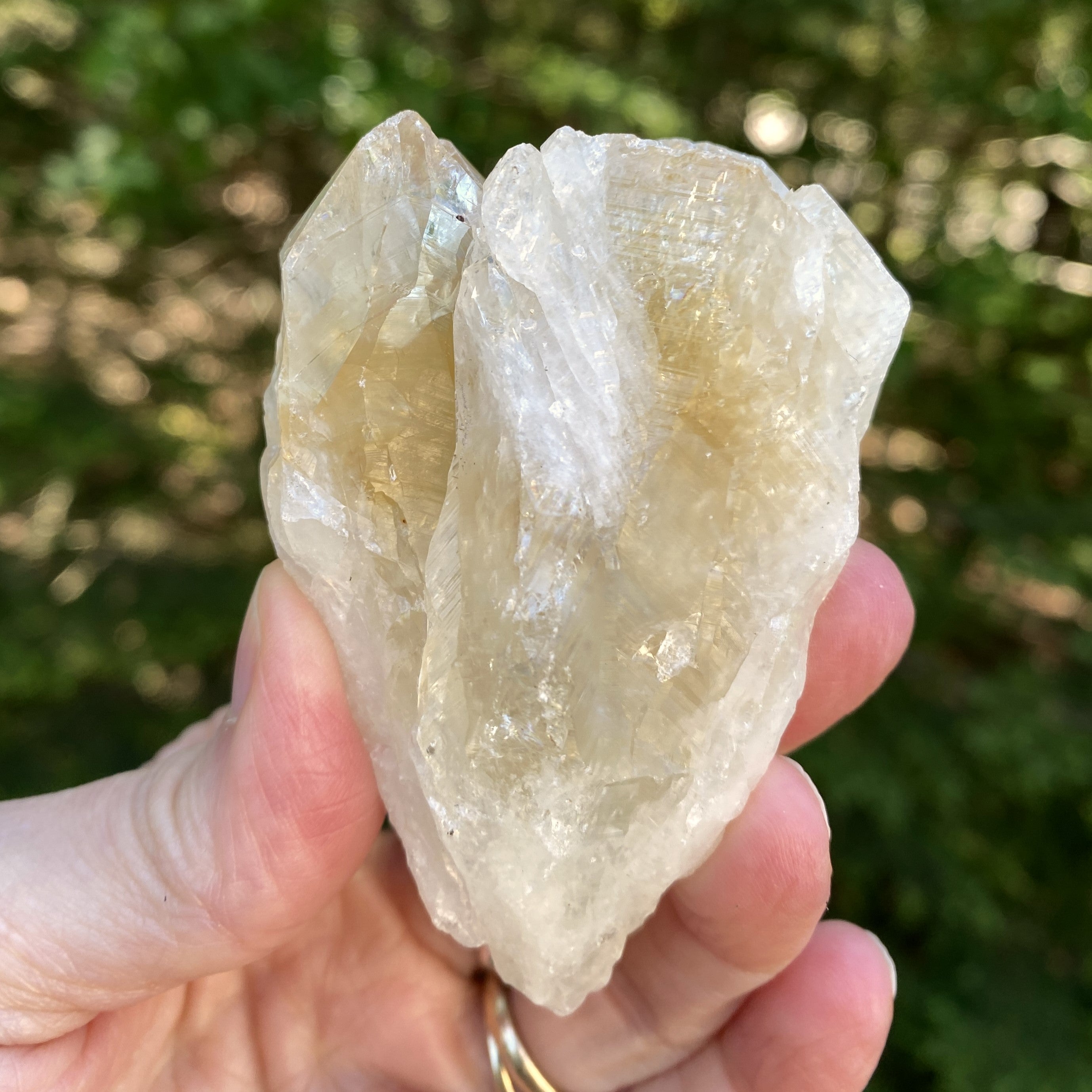 Raw Citrine  Double Point  Prosperity Protection 31612S
