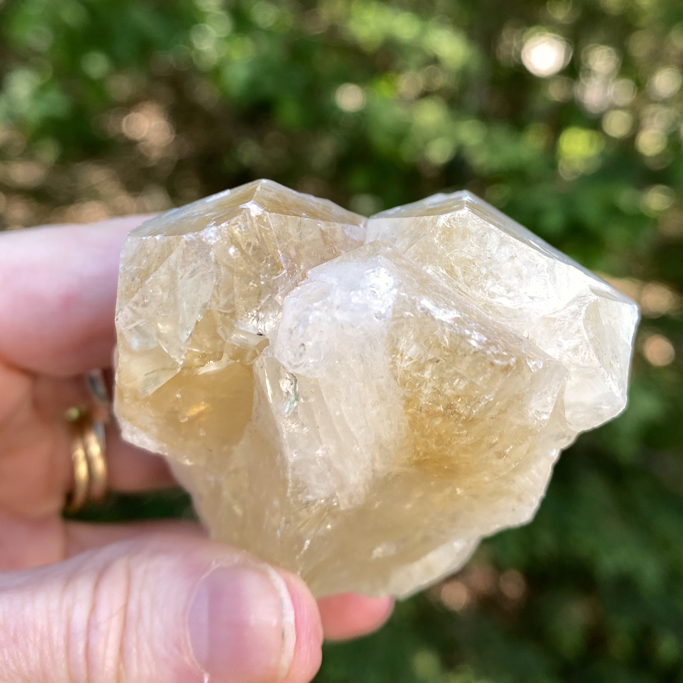 Raw Citrine  Double Point  Prosperity Protection 31612S