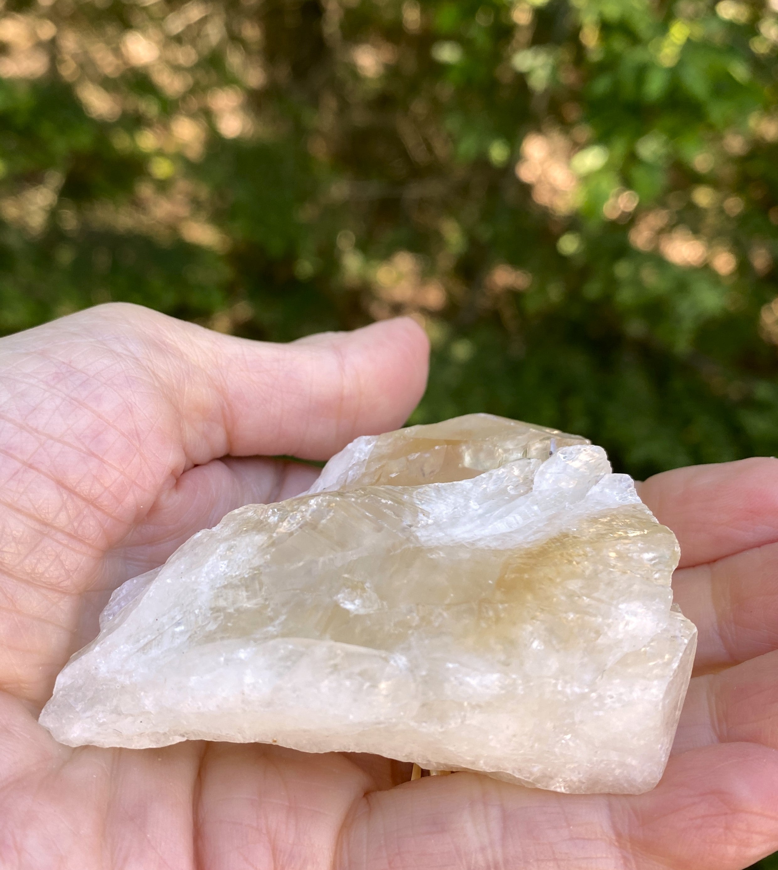 Raw Citrine  Double Point  Prosperity Protection 31612S