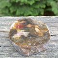 Petrified Wood Trunk Slice  Protection Calm 31534S