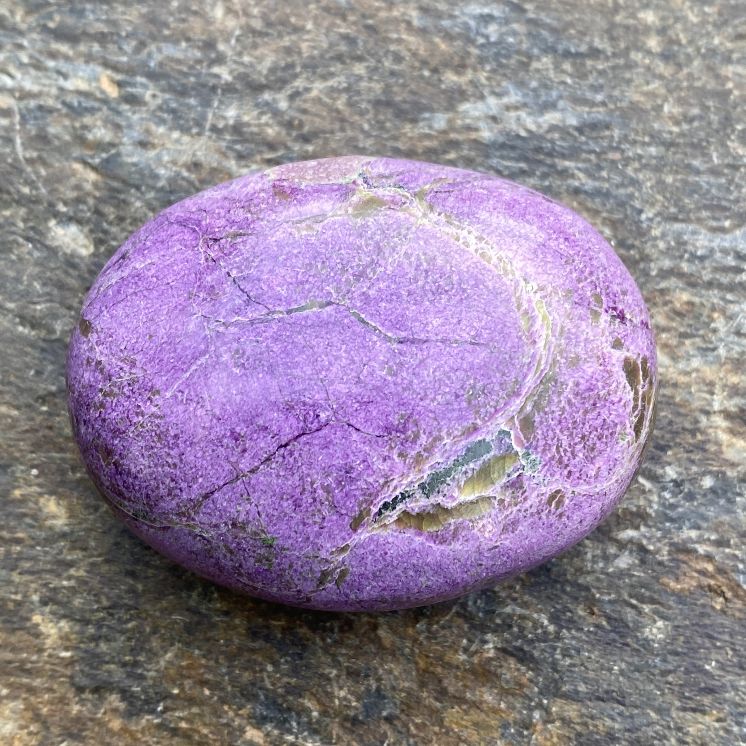 Atlantisite Palm Stone  Grounding Healing 31584S