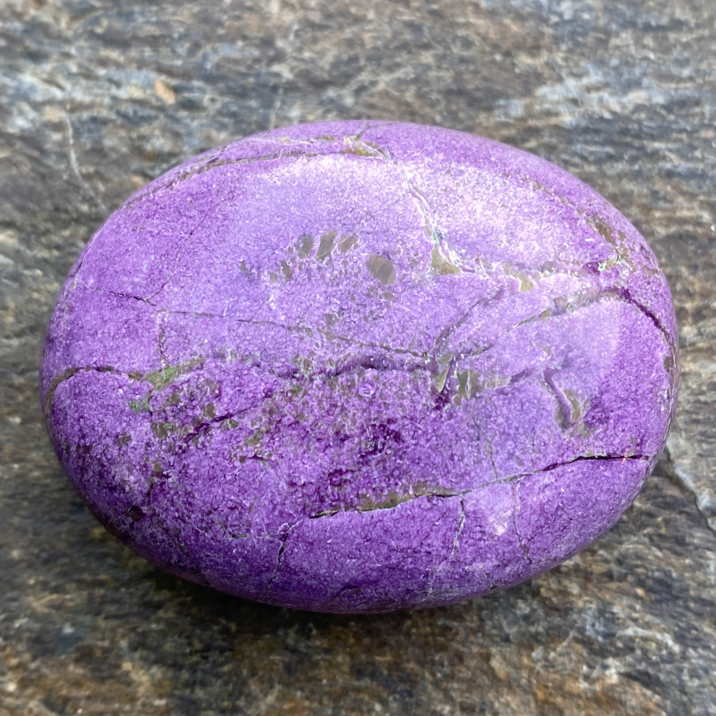 Atlantisite Palm Stone  Grounding Healing 31584S