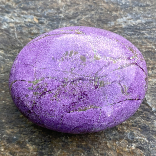 Atlantisite Palm Stone  Grounding Healing 31584S