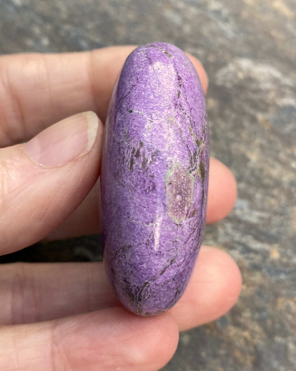 Atlantisite Palm Stone  Grounding Healing 31584S