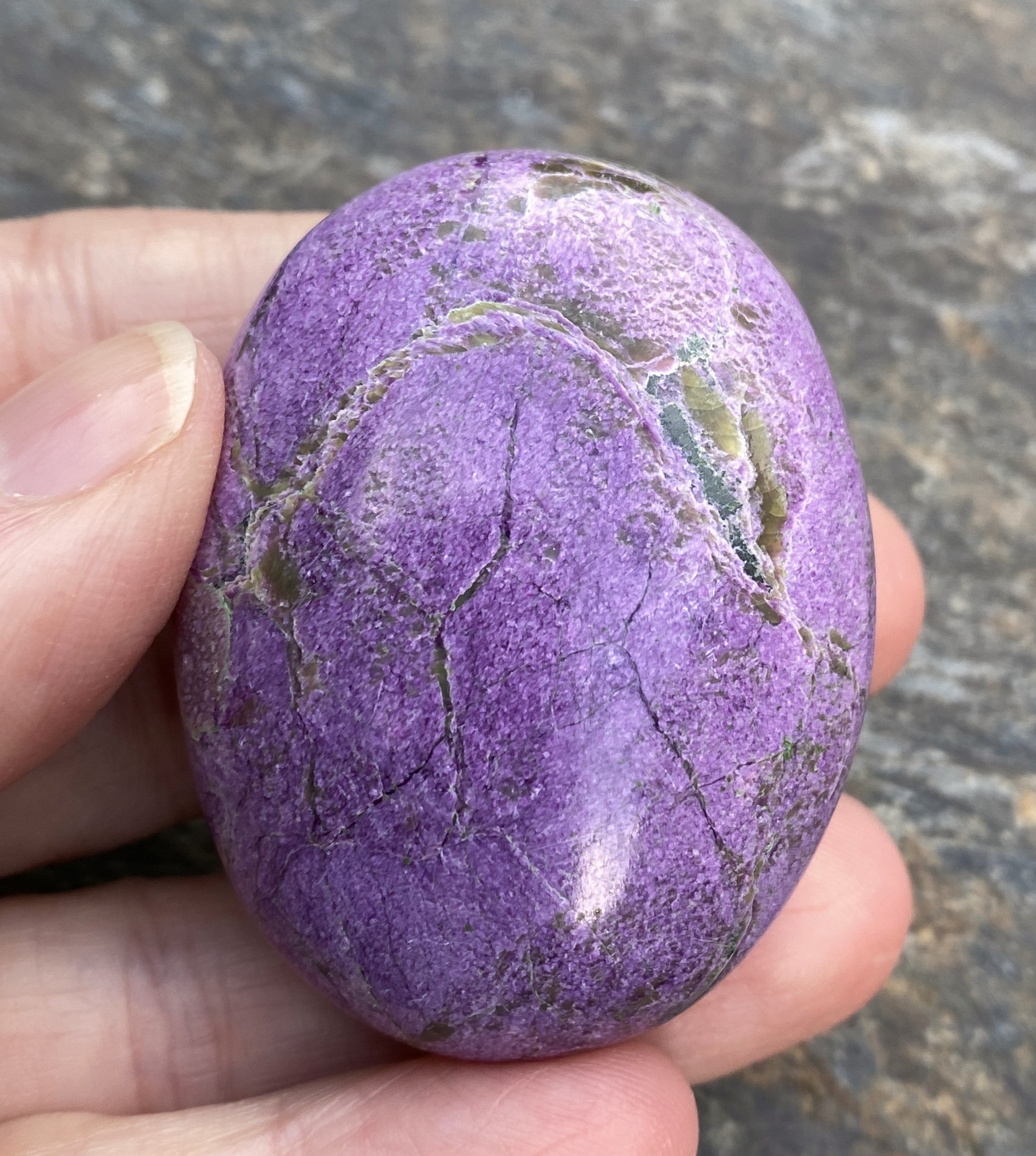 Atlantisite Palm Stone  Grounding Healing 31584S