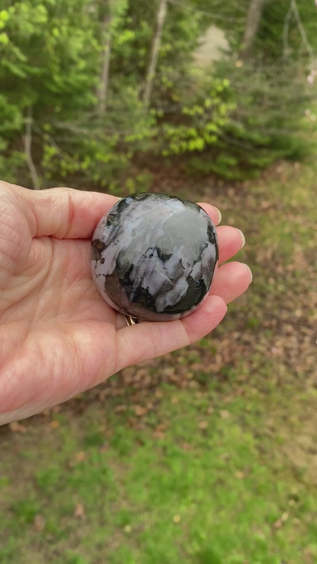 Indigo Gabbro Mystic Merlinite  Gallet Palm Stone  Intuition Magic 31456S