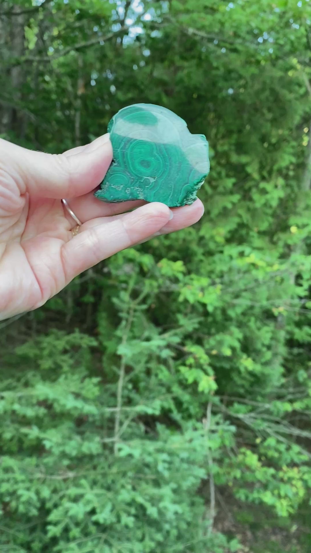 Malachite Slab  Small Palm Stone  Polished  Protection Abundance 31652S