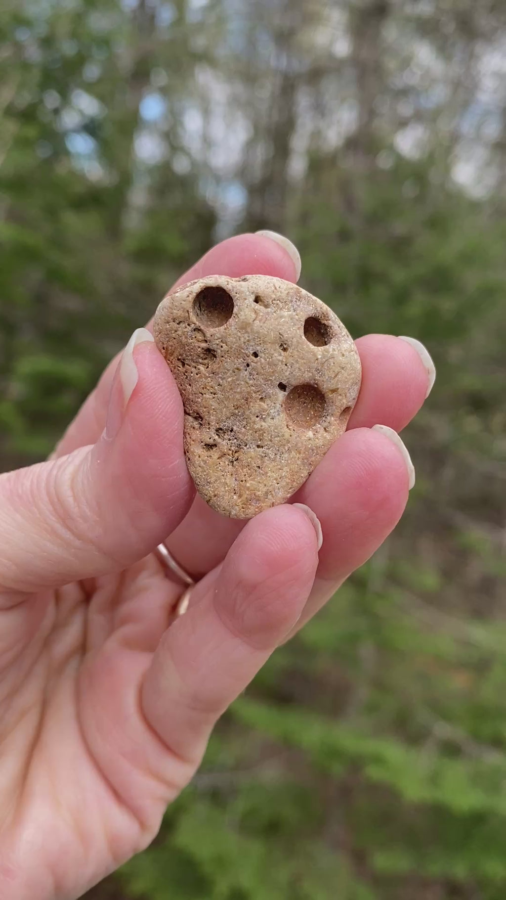 Hag Stone - Pocket Stone - USA - Grounding Balance Protection 31441S
