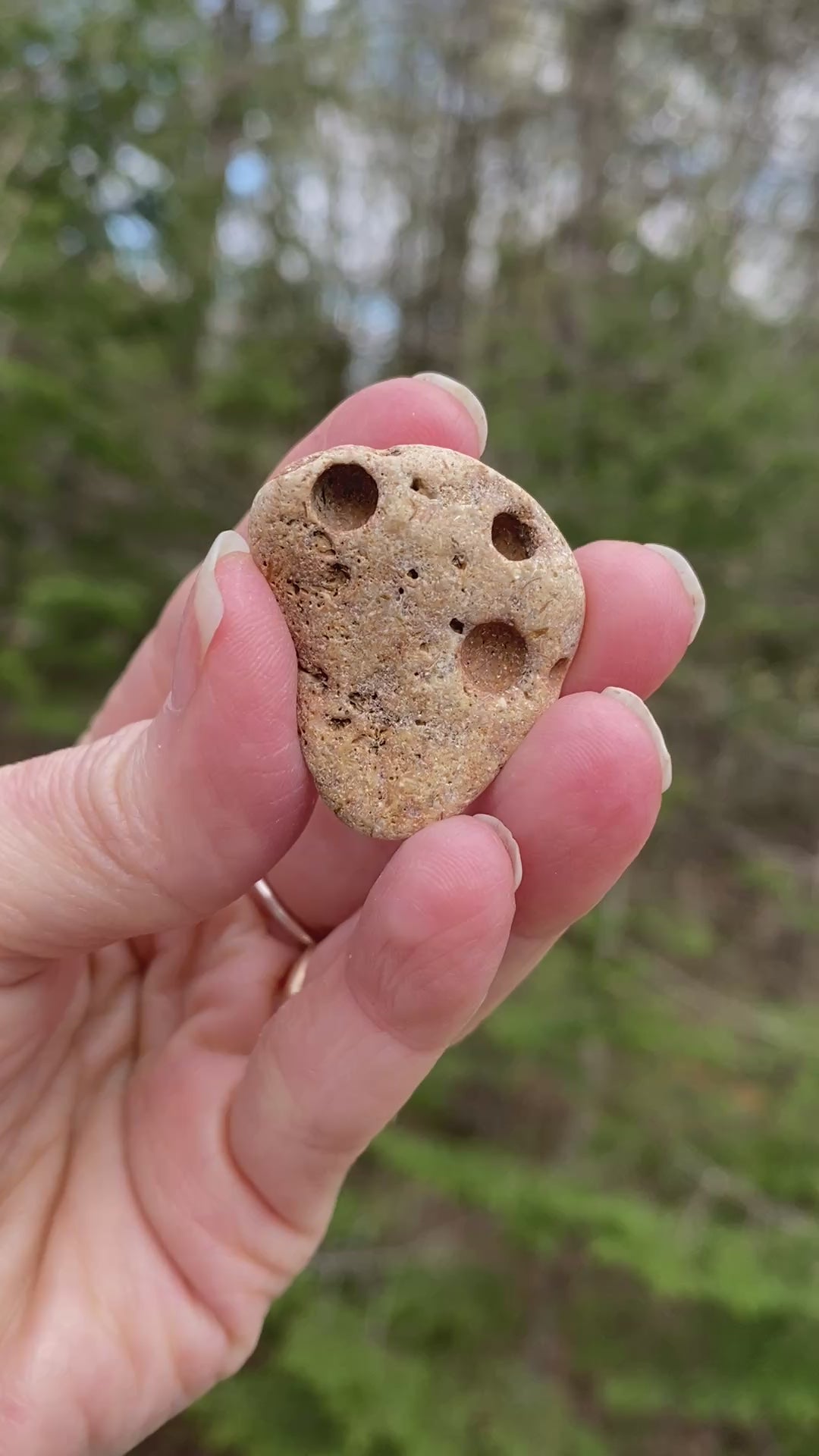 Hag Stone - Pocket Stone - USA - Grounding Balance Protection 31441S