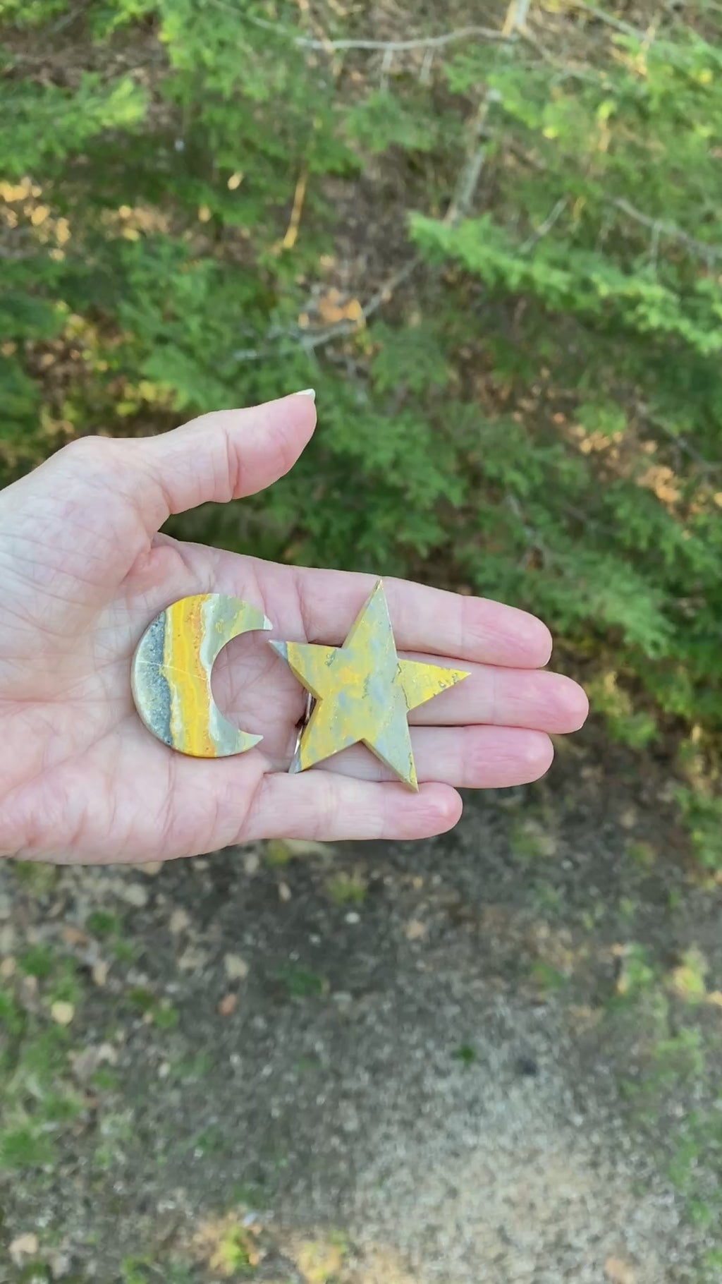 Bumble Bee Jasper  Moon Star Set  Figurines  Success Protection  31428S