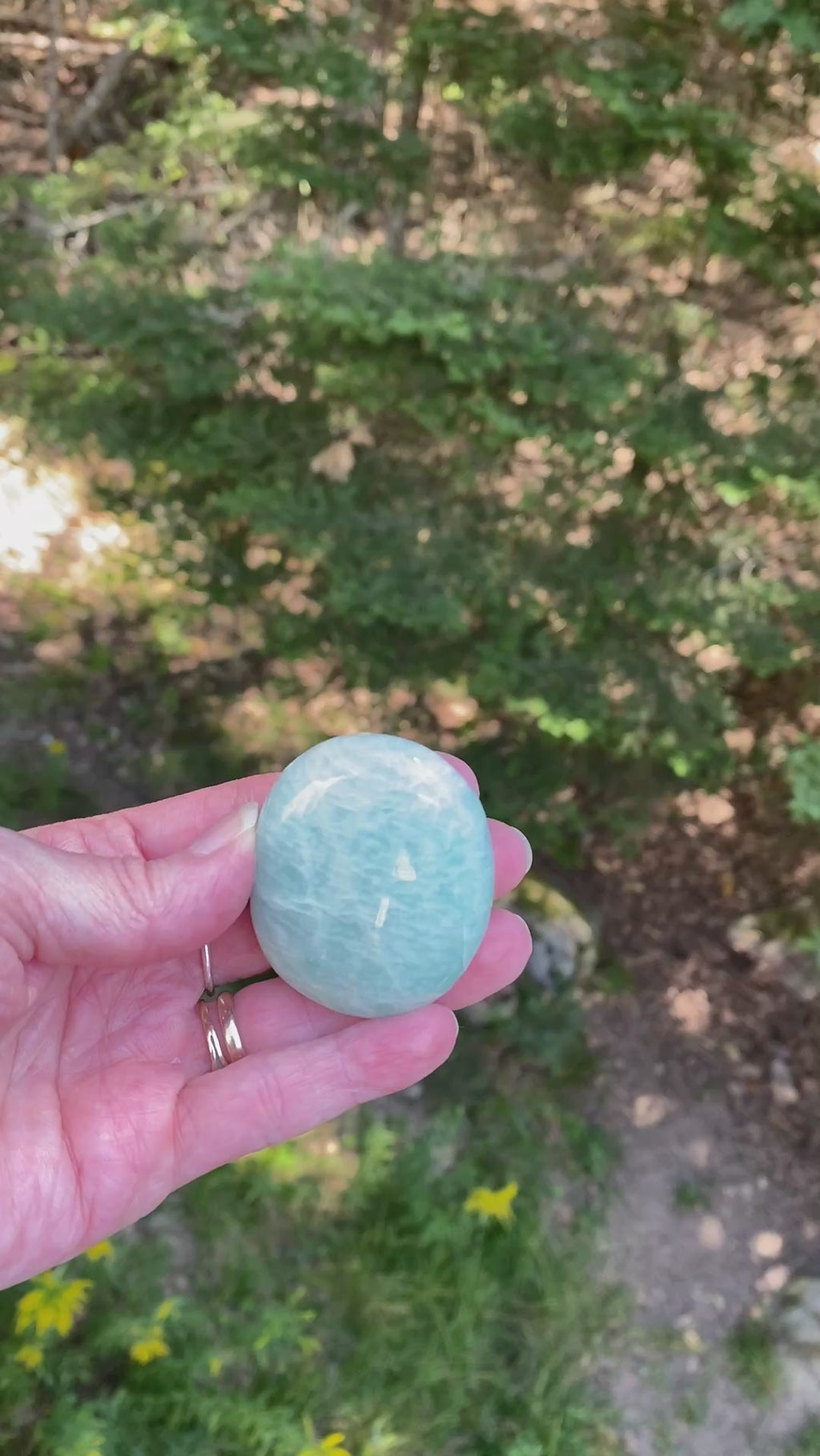 Amazonite Palm Stone  Balance Communication 31751S