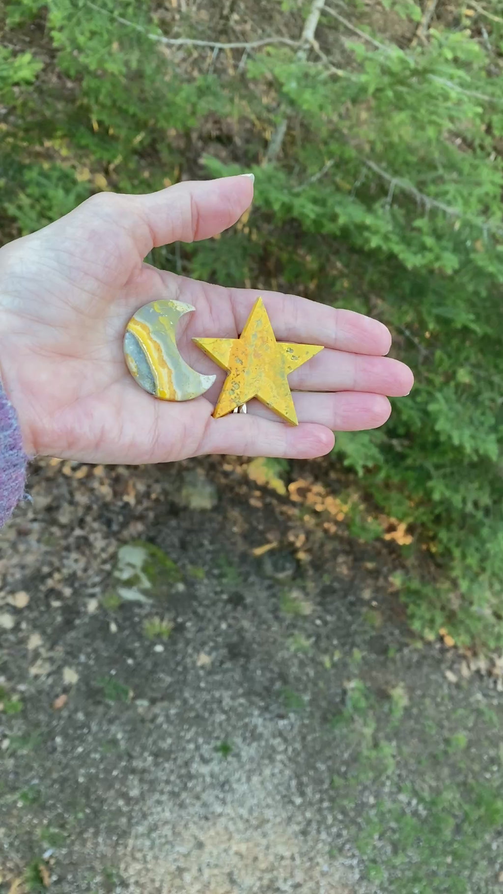 Bumble Bee Jasper  Moon Stars Set  Figurines  Success Protection 31427S