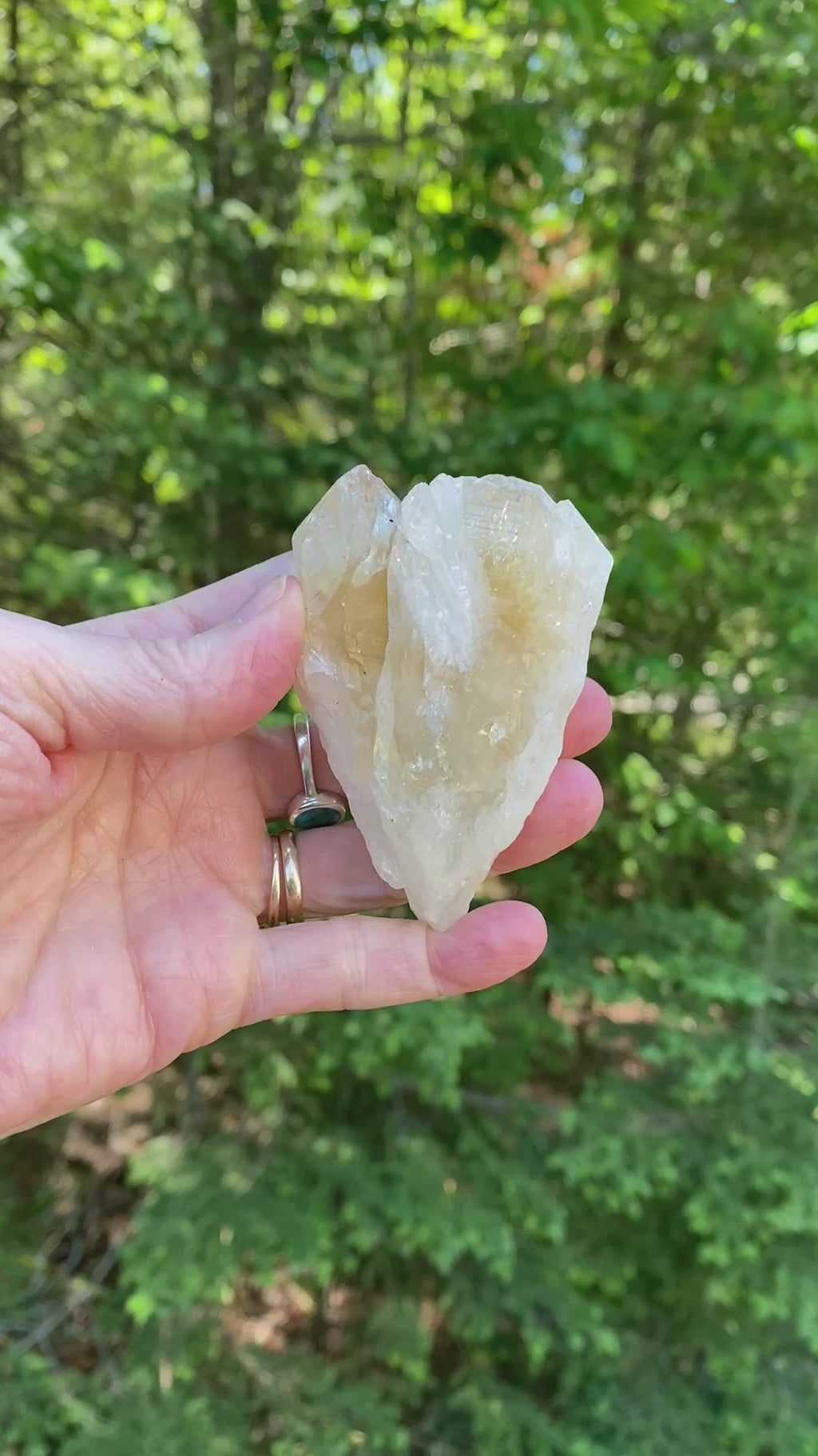 Raw Citrine  Double Point  Prosperity Protection 31612S