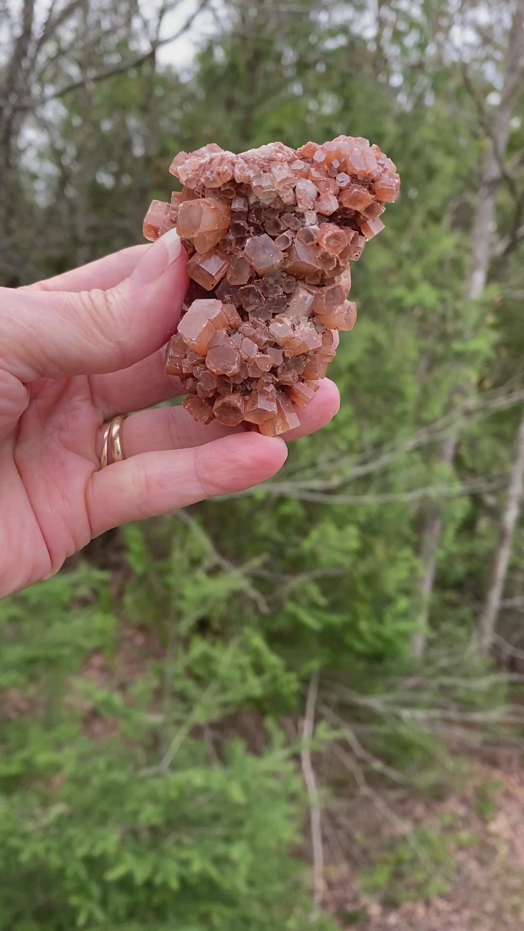 Aragonite Cluster  Raw Red  Healing Grounding 31420S