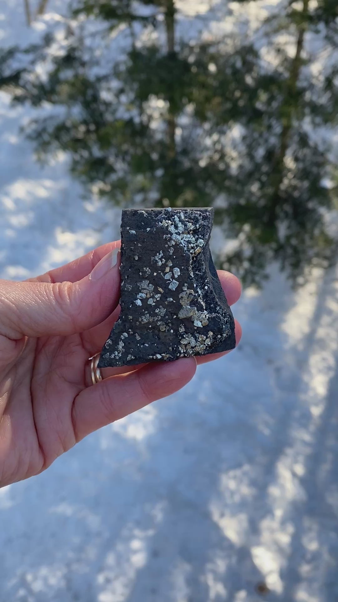 Pyrite on Shungite  Raw  FROM BRAZIL  Prosperity Meditation 31210S