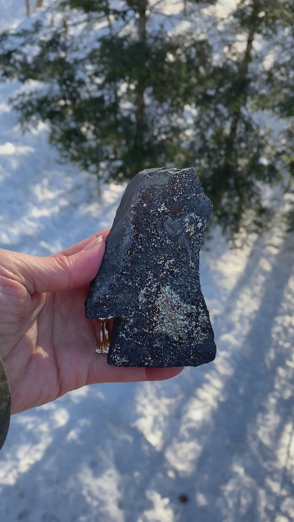 Pyrite on Shungite  Raw  FROM BRAZIL  Prosperity Meditation 31211S