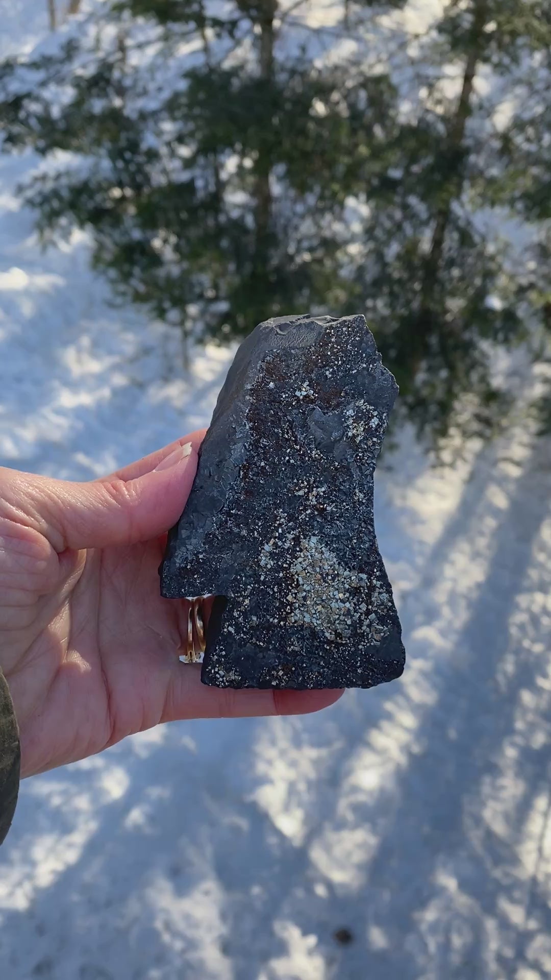 Pyrite on Shungite  Raw  FROM BRAZIL  Prosperity Meditation 31211S