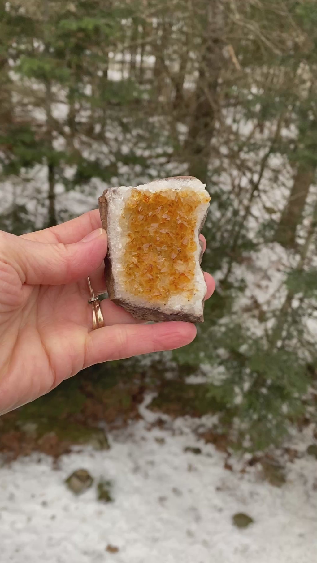 Citrine Druzy Specimen  Prosperity Protection 31153S