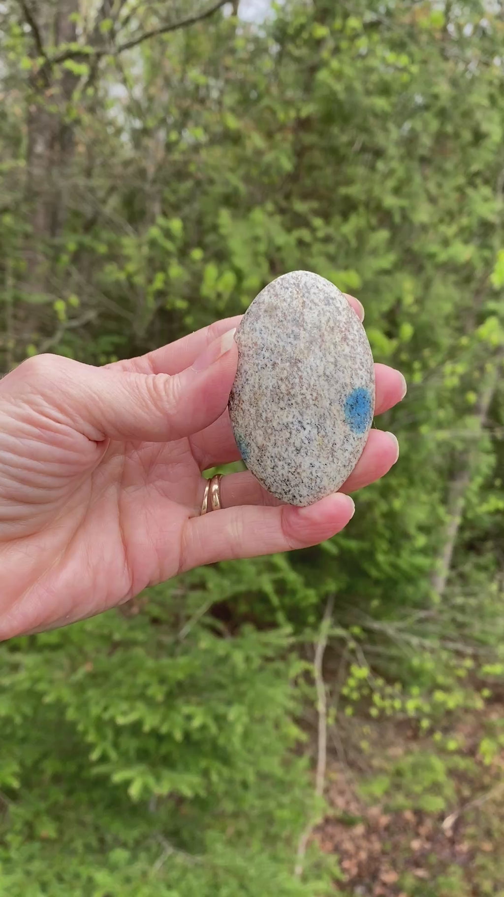 K2 Jasper Palm Stone  Blue  Communication Intuition 31454S