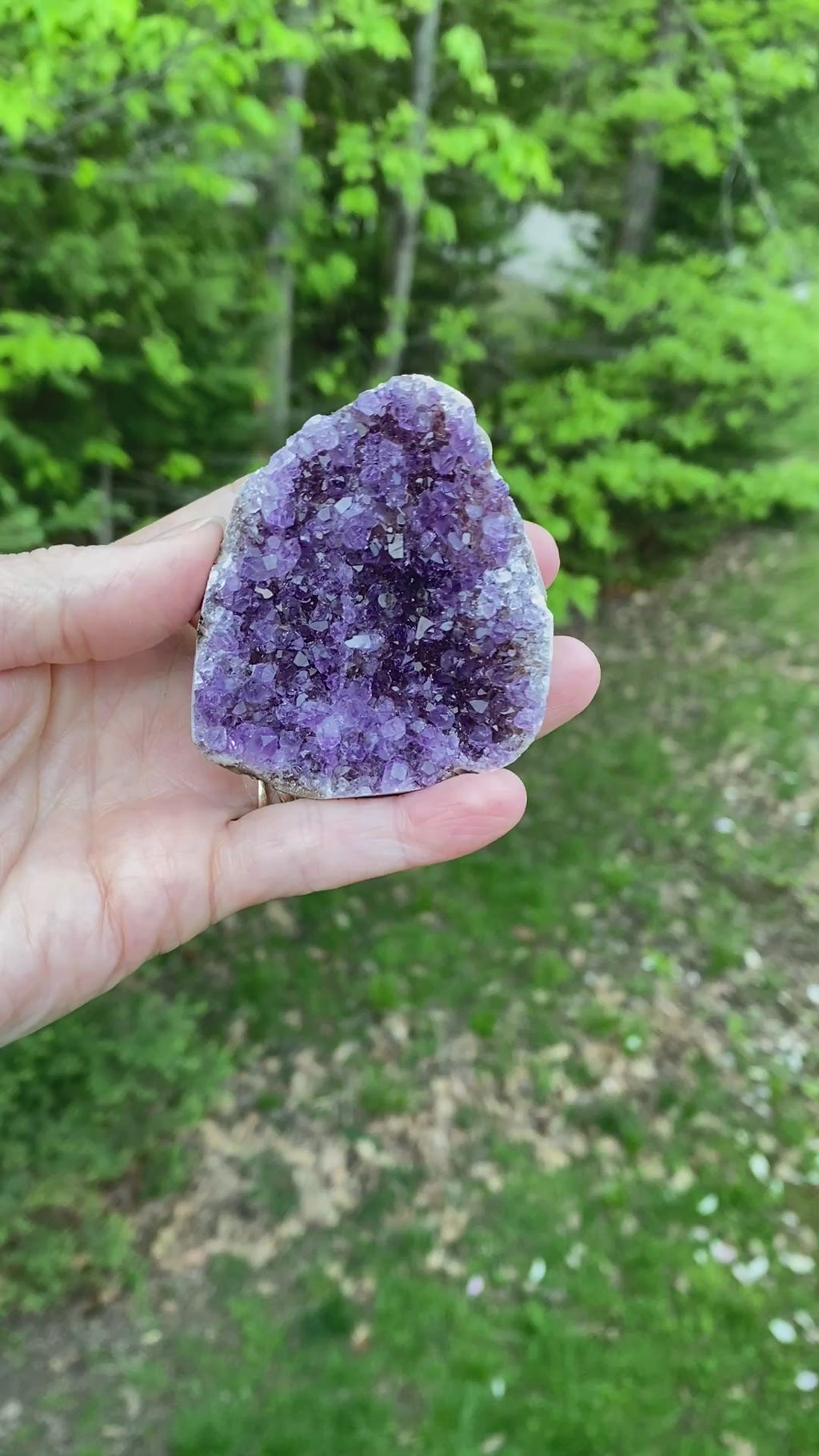 Dark Amethyst Druzy  Uruguay  Protection Balance Intuition 31491S