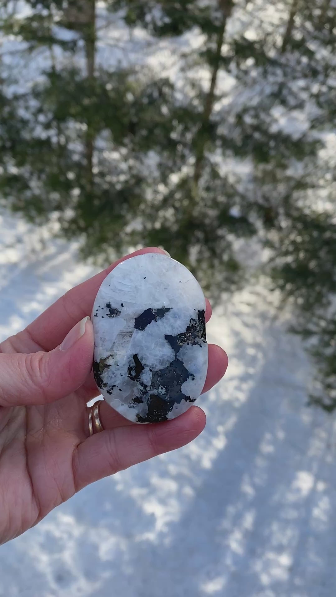 Rainbow Moonstone Palm Stone  Protection Intuition 31223S