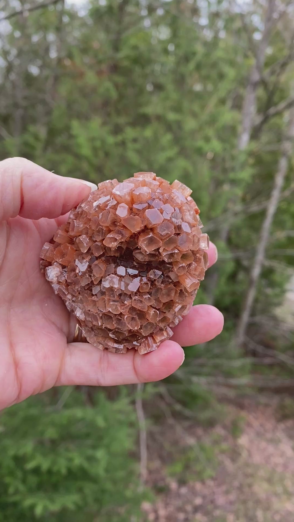 Aragonite Cluster Raw Red Healing Grounding 31419S