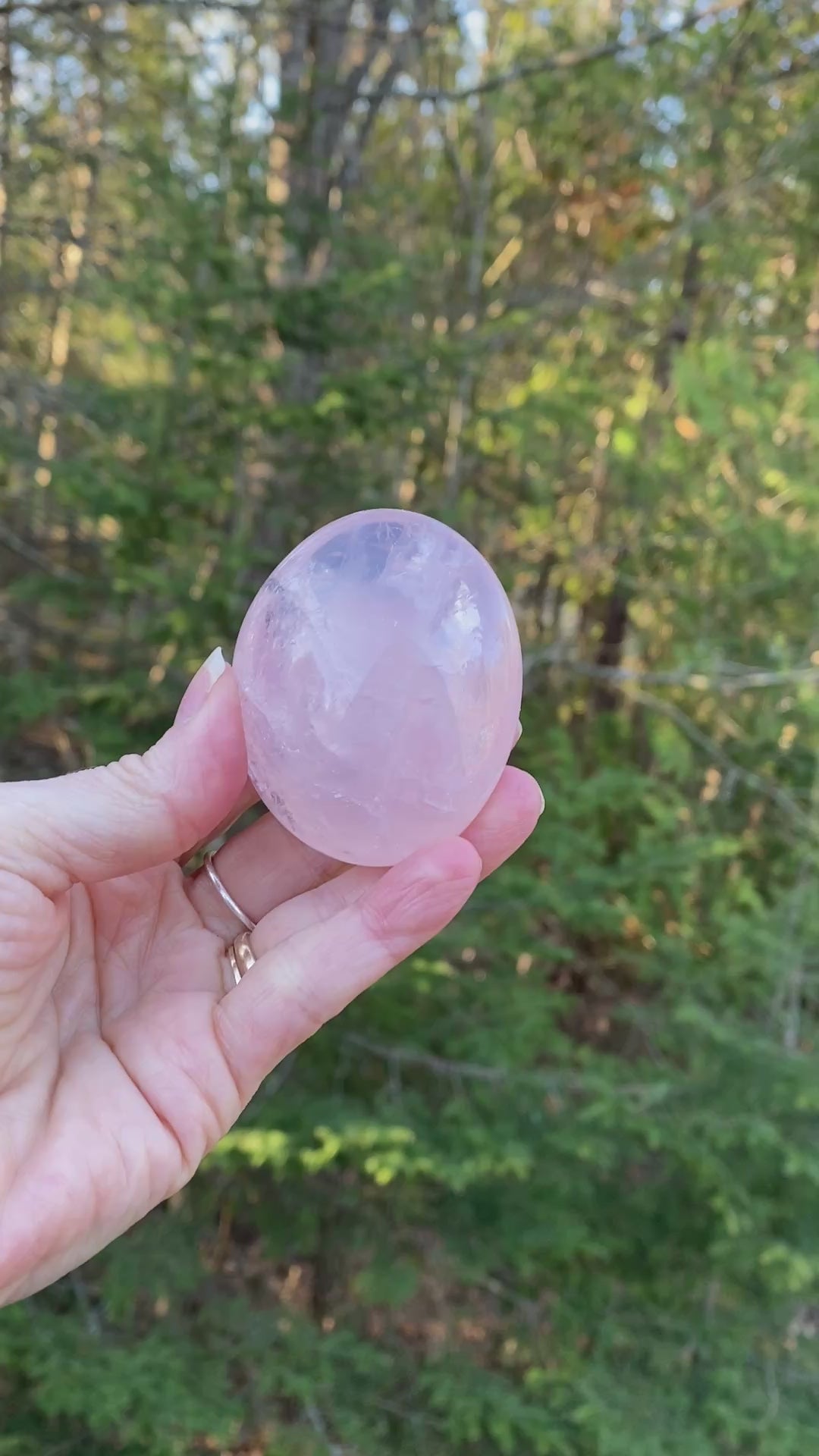 Rose Quartz  Palm Stone  Pink  Love Compassion 31450S
