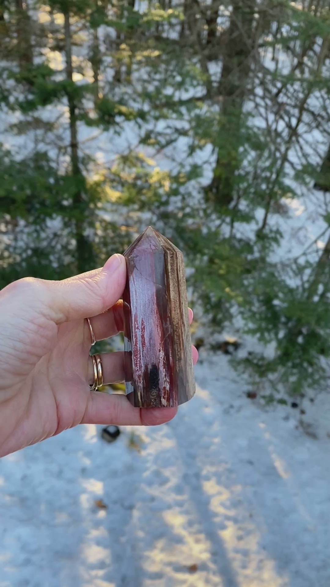 Petrified Wood  Tower Point  Grounding Protection Calm 31151S