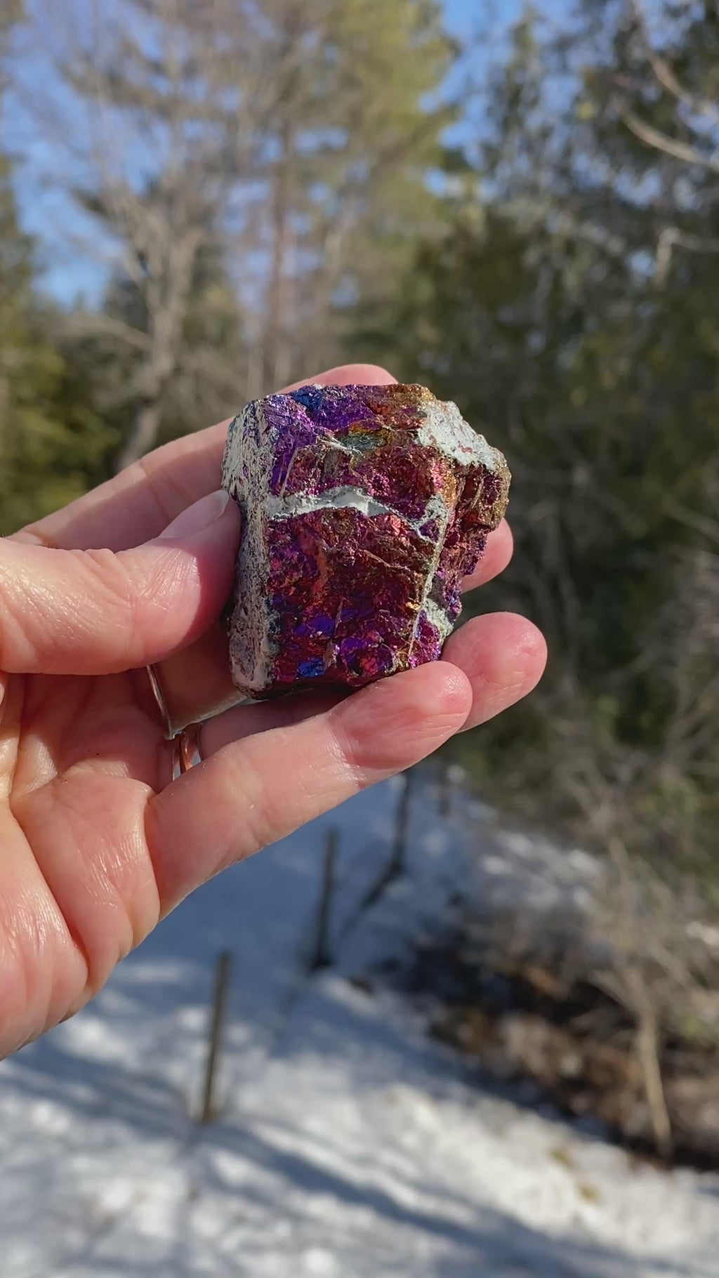 Peacock Ore  Colorful  Raw Piece  Wellness Joy Balance 31275S
