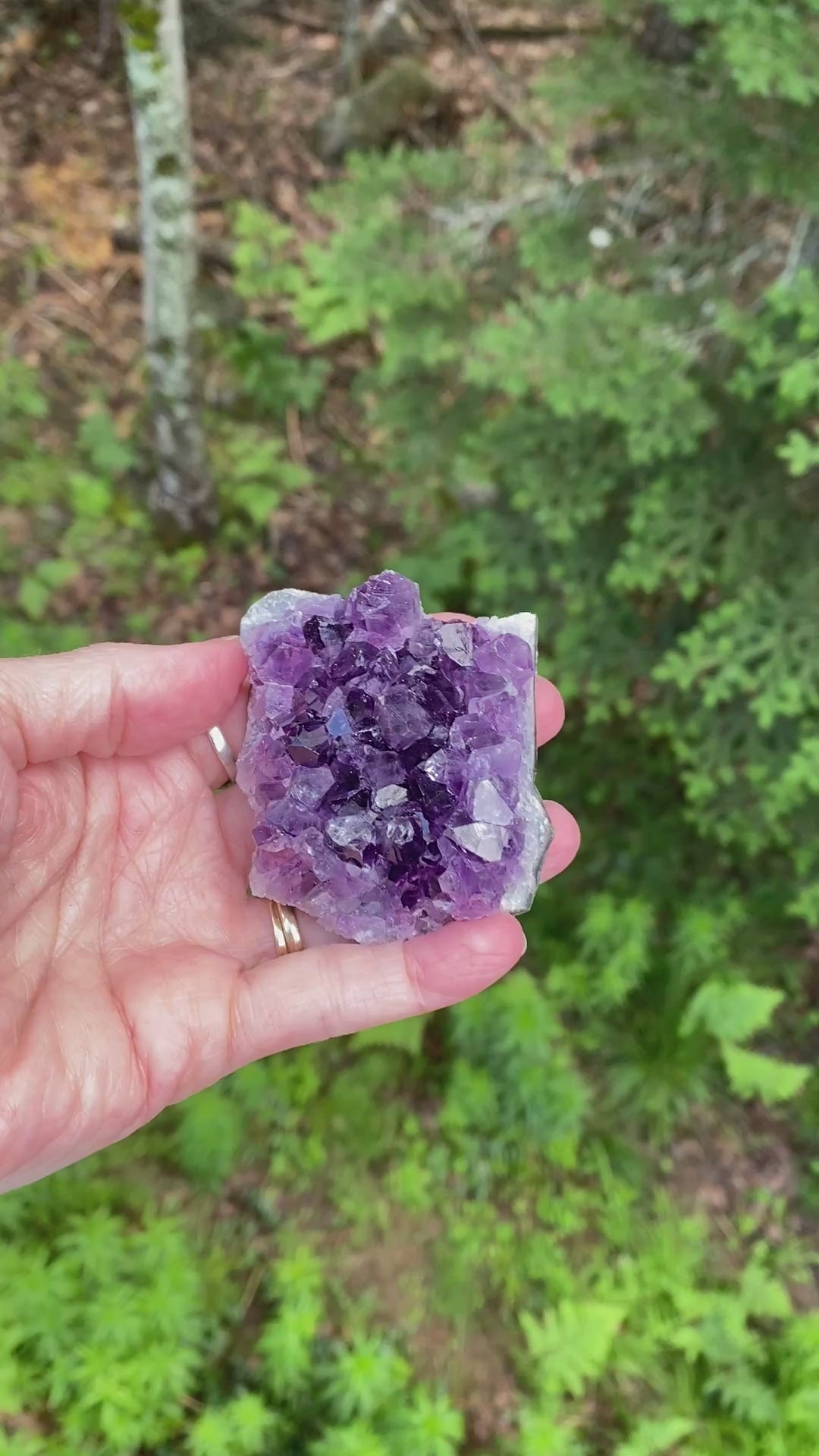 Amethyst Druzy  Uruguay  Protection Balance Intuition 31626S