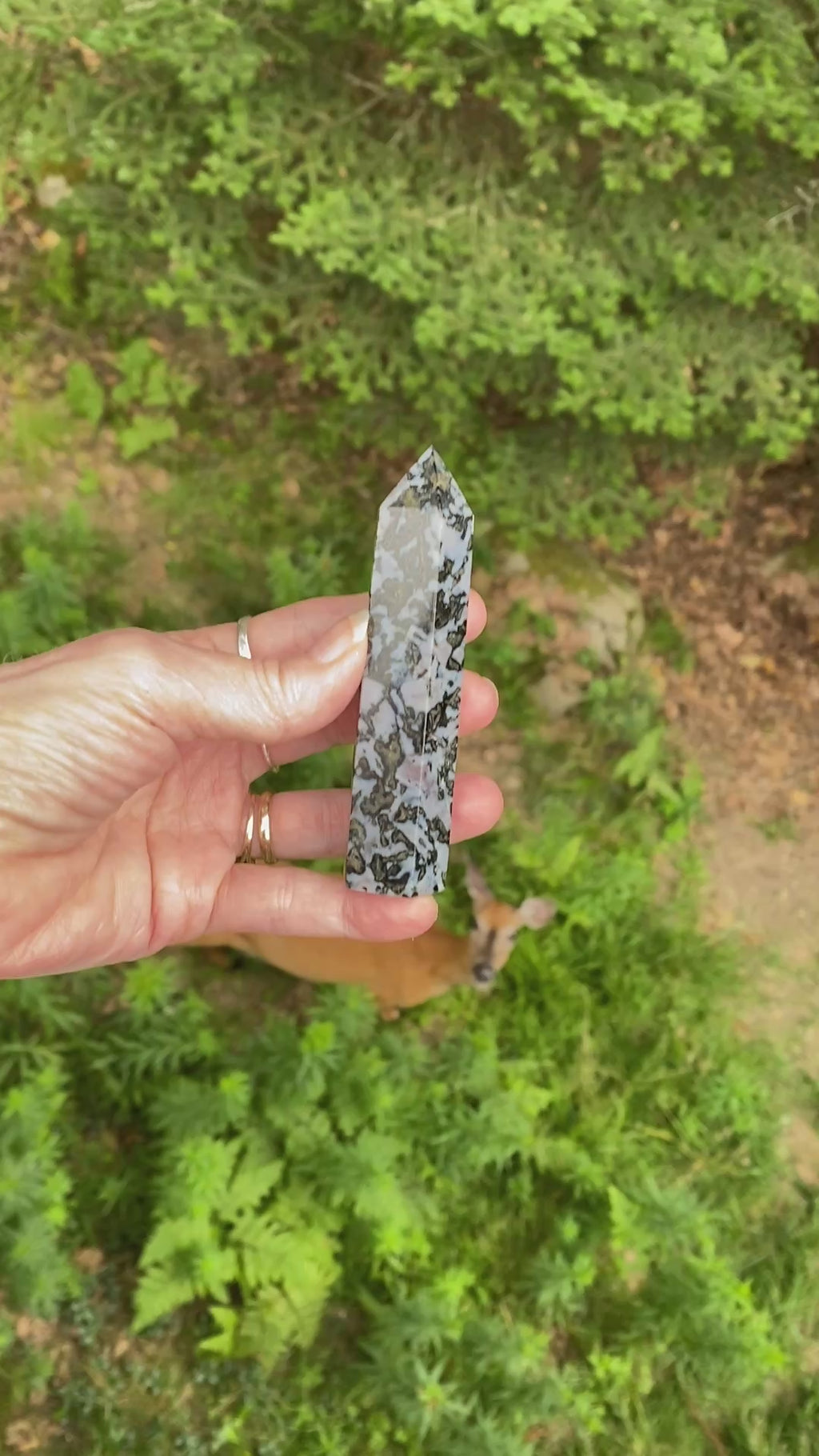 Indigo Gabbro aka Mystic Merlinite  Point Tower  Intuition Magic 31679S