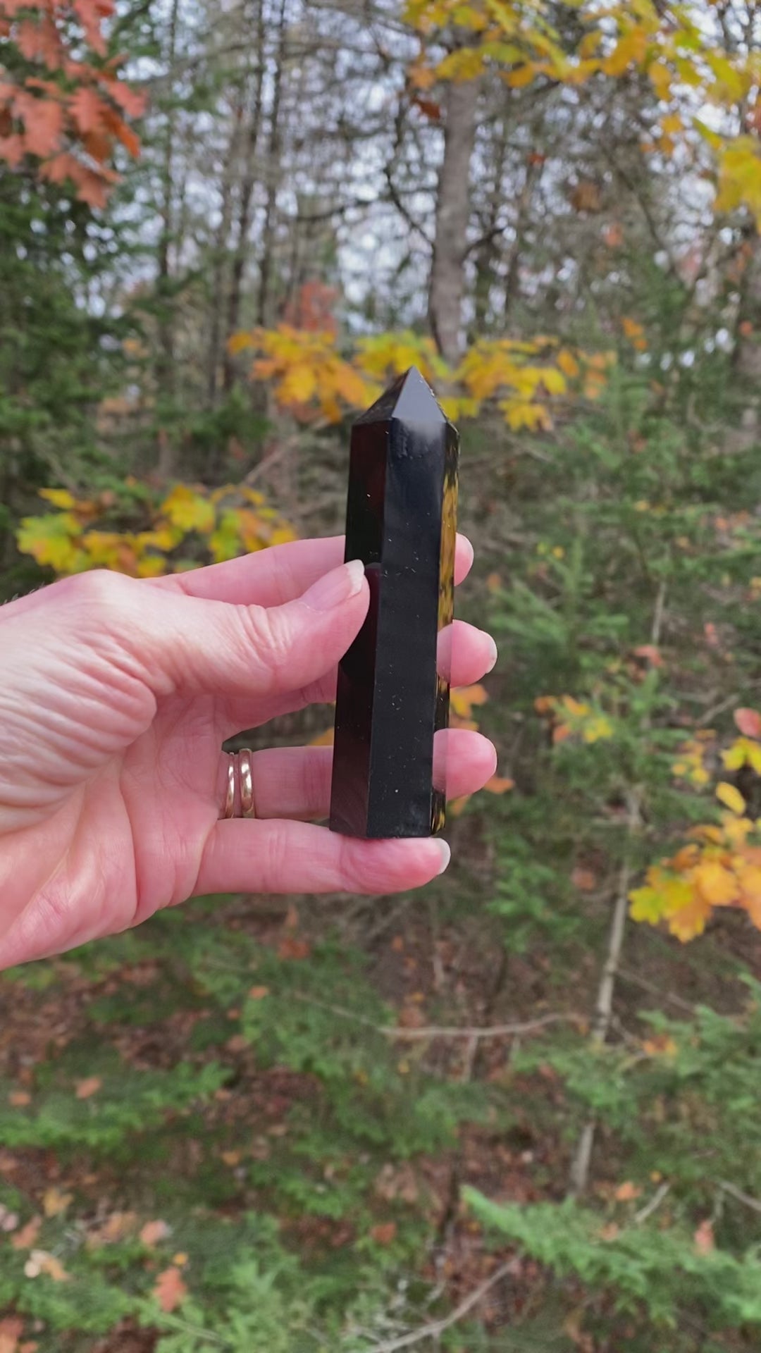 Obsidian Silver Sheen  Point Tower  Protection Grounding Success 30904S