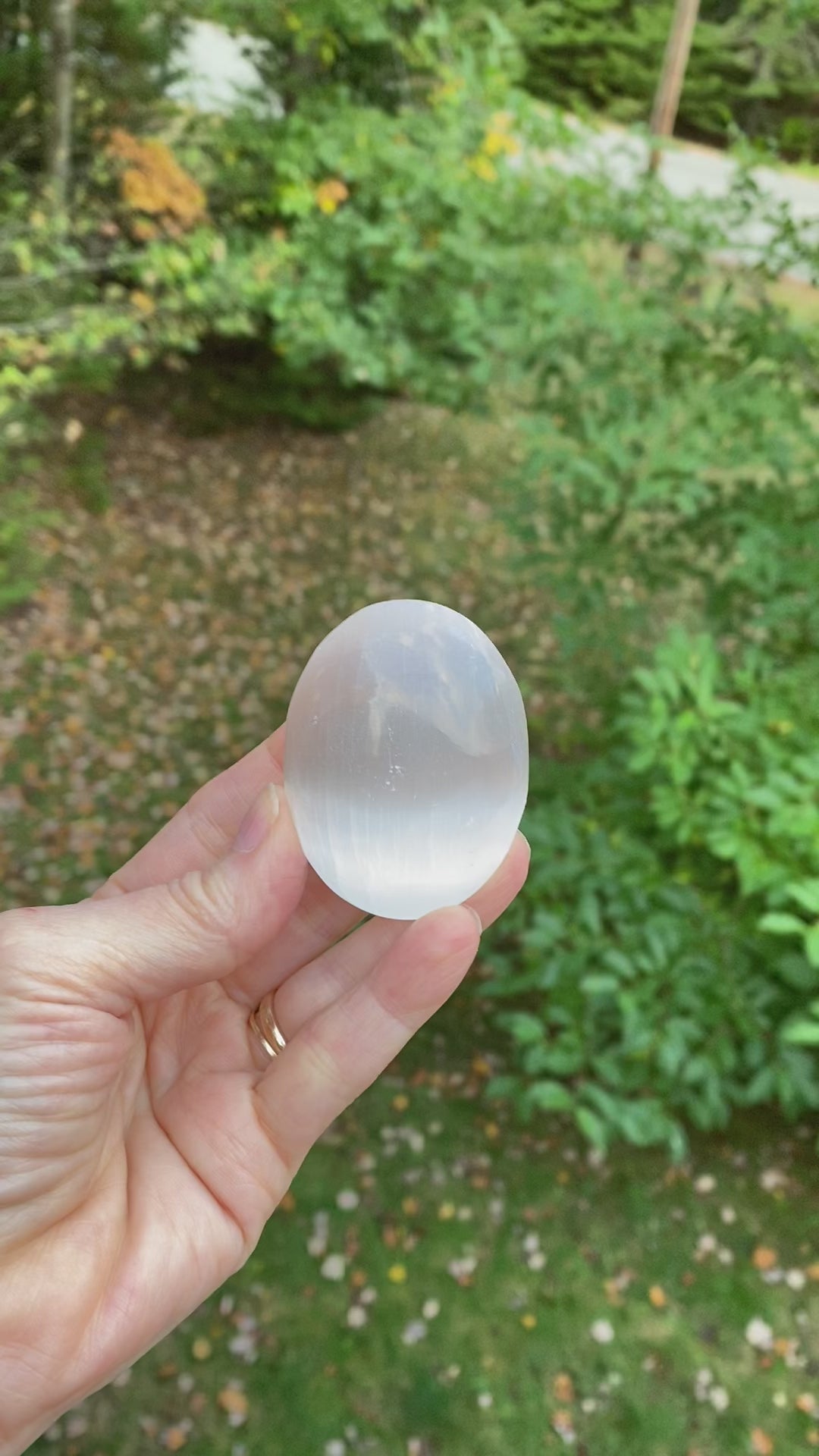 Selenite  Small Palm Stone  White  Cleansing Protection 30777S