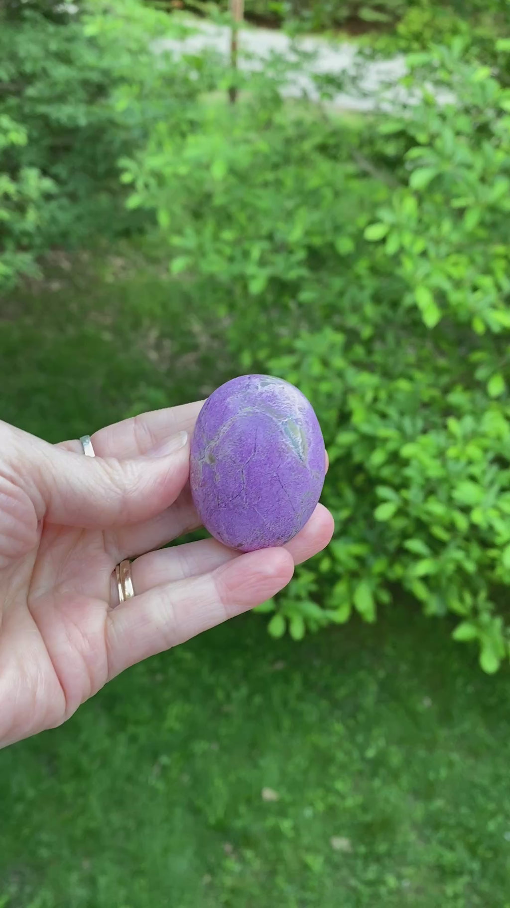 Atlantisite Palm Stone  Grounding Healing 31584S