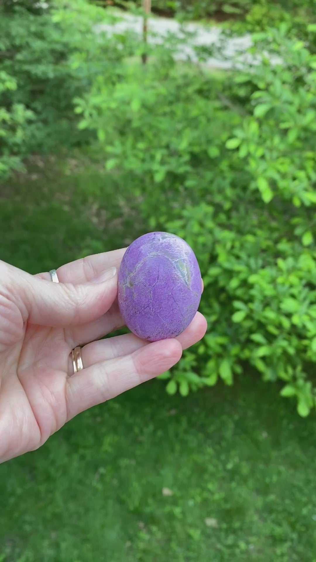 Atlantisite Palm Stone  Grounding Healing 31584S