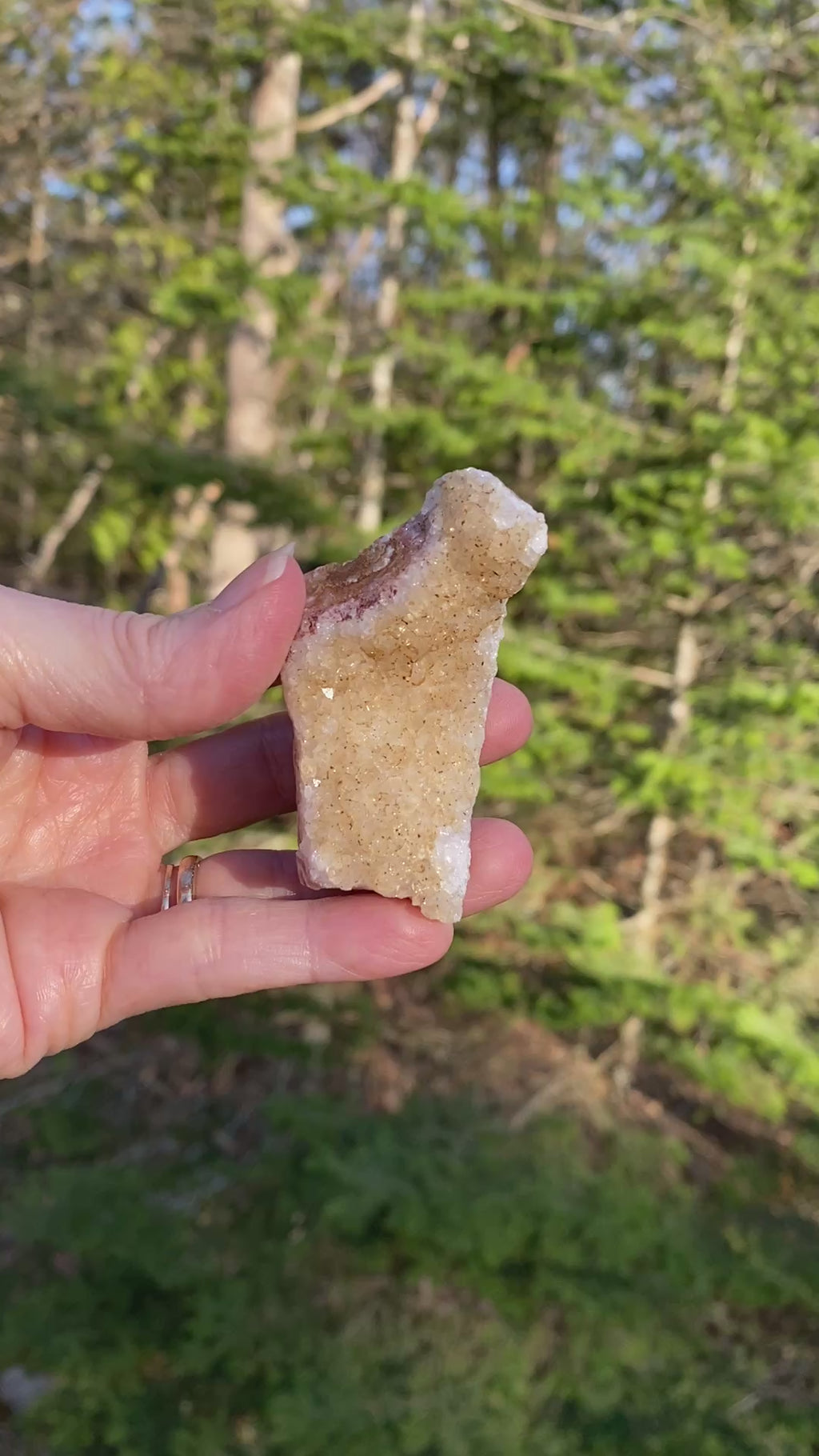 Citrine Druzy Specimen  Prosperity Protection 31404S
