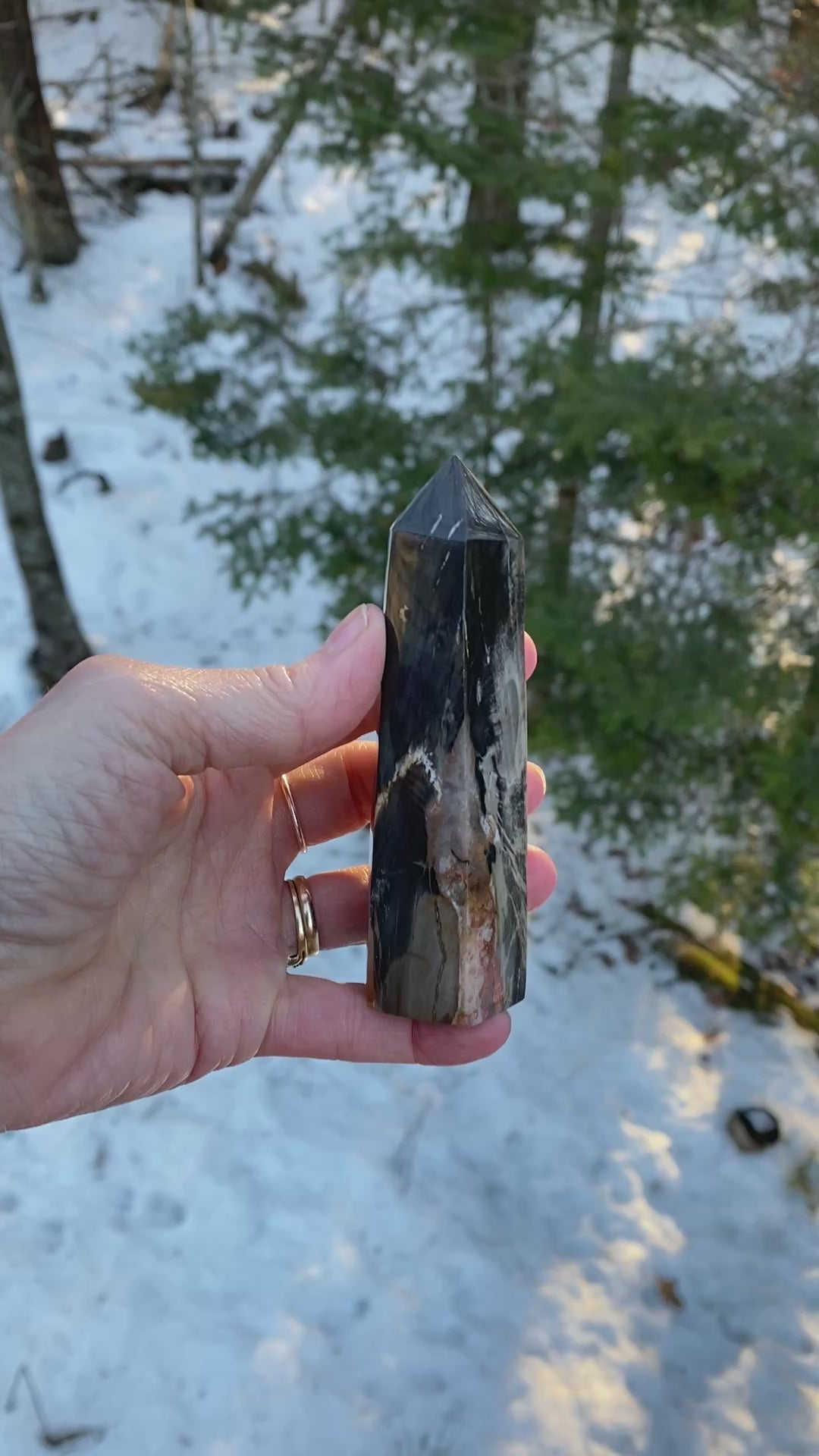 Petrified Wood  Tower Point  Grounding Protection Calm 31152S