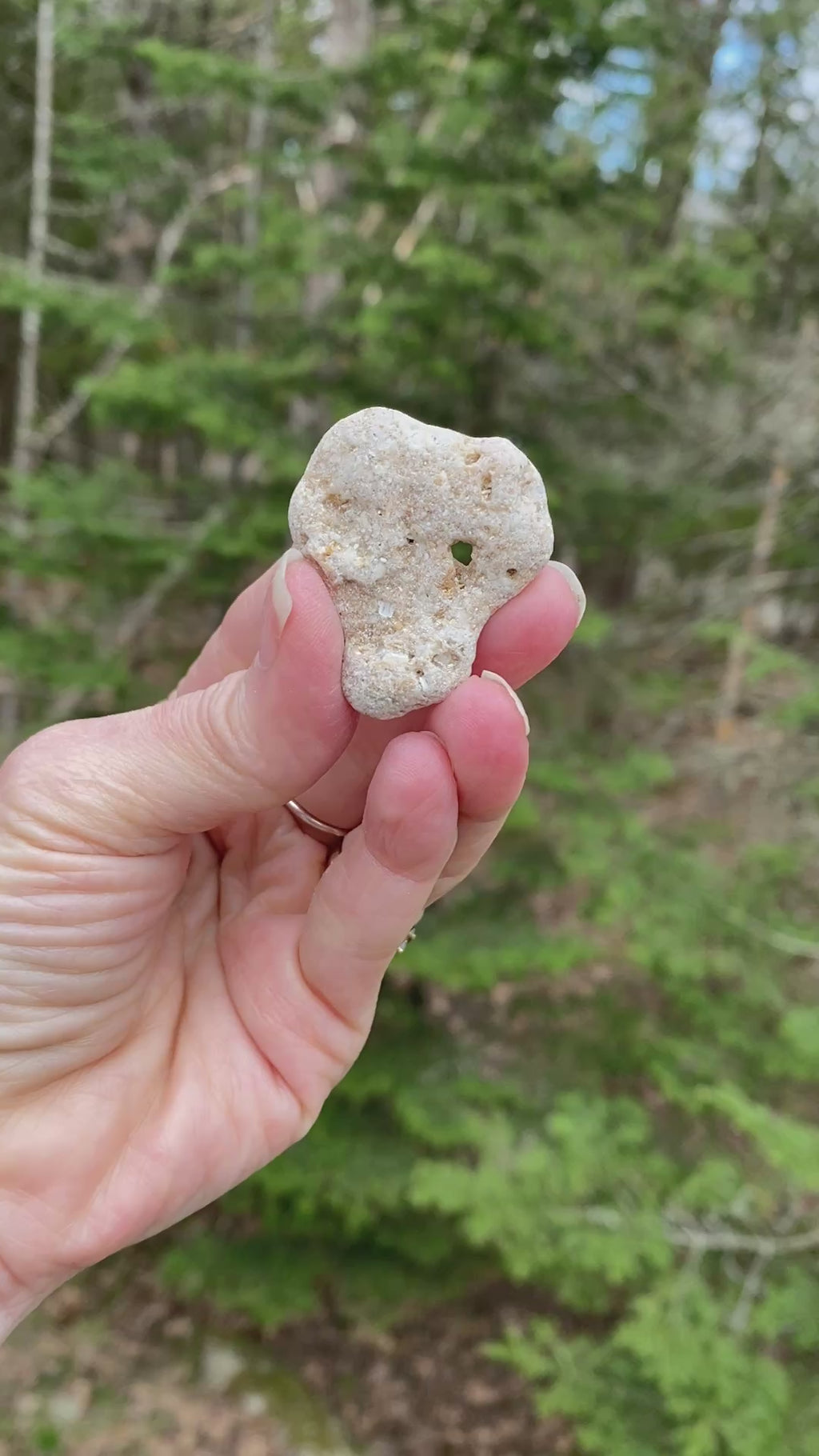 Hag Stone - Pocket Stone - USA - Grounding Balance Protection 31440S