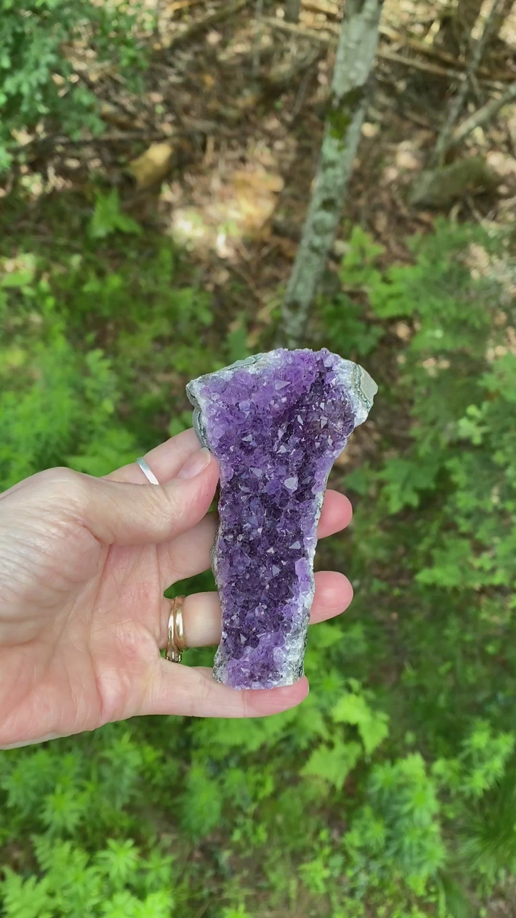 Amethyst Druzy  Uruguay  Protection Balance Intuition 31625S
