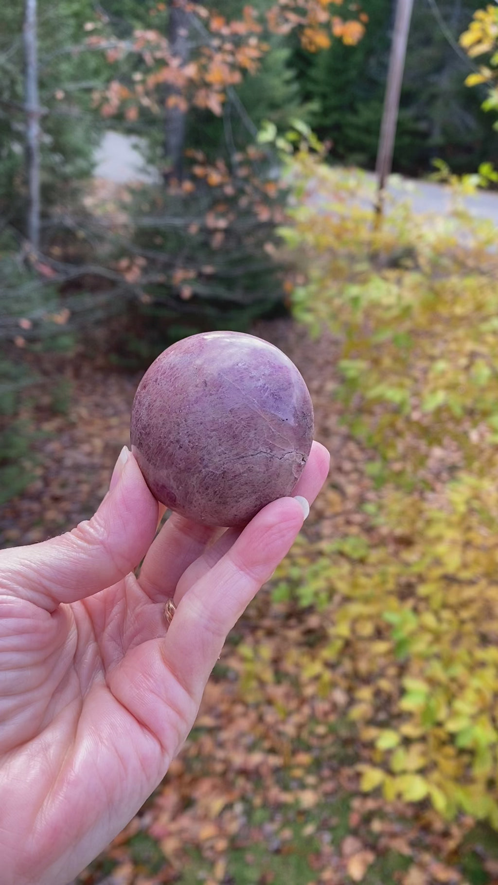 Rhodonite Palm Stone  Pink  Love Forgiveness 31683S