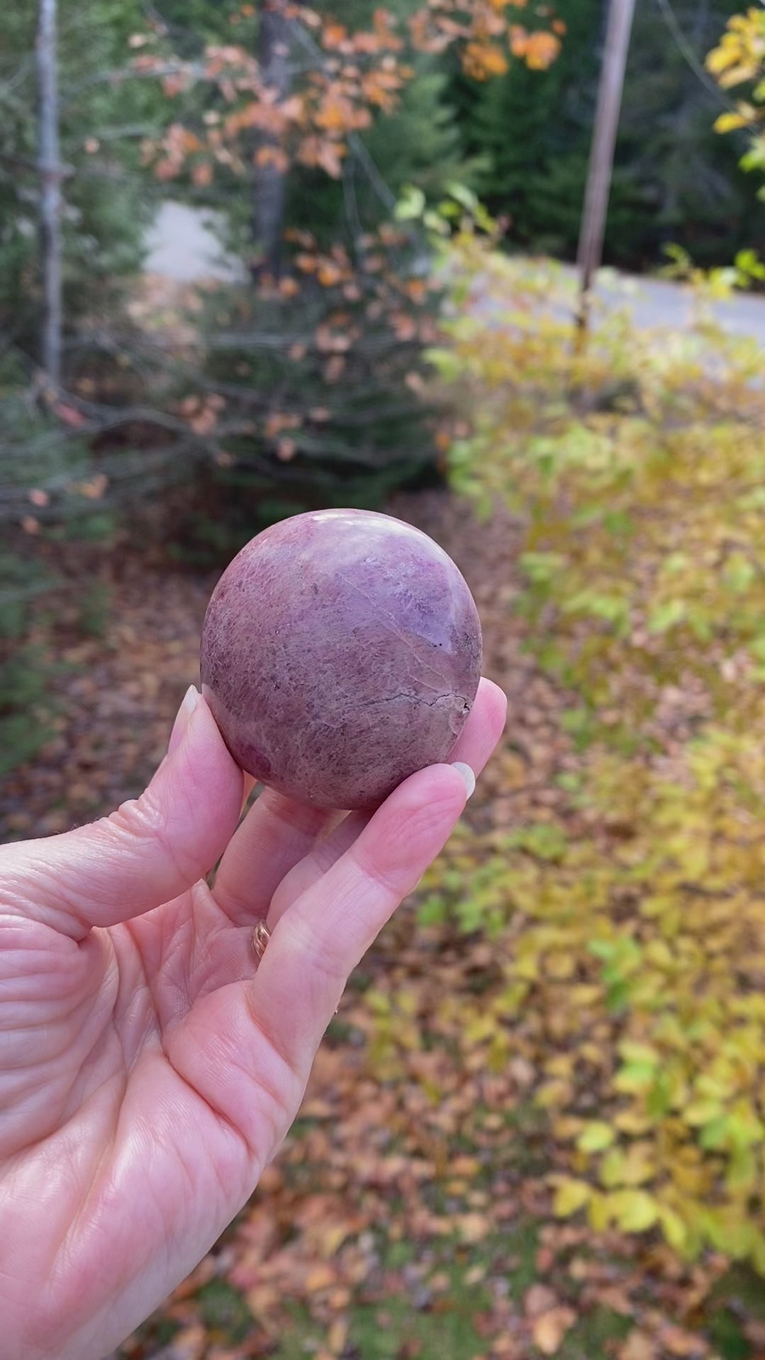 Rhodonite Palm Stone  Pink  Love Forgiveness 31683S